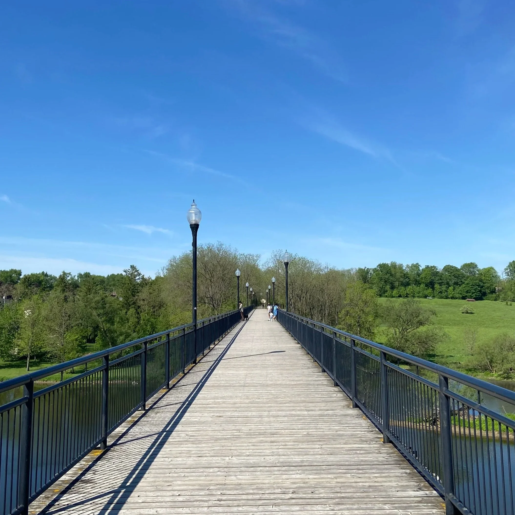 A wooden bridge with blue railings and lampposts, surrounded by lush green trees and a clear blue sky.