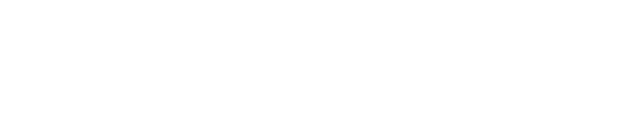 Bold white text on a black background that reads "The Modman Foundation".