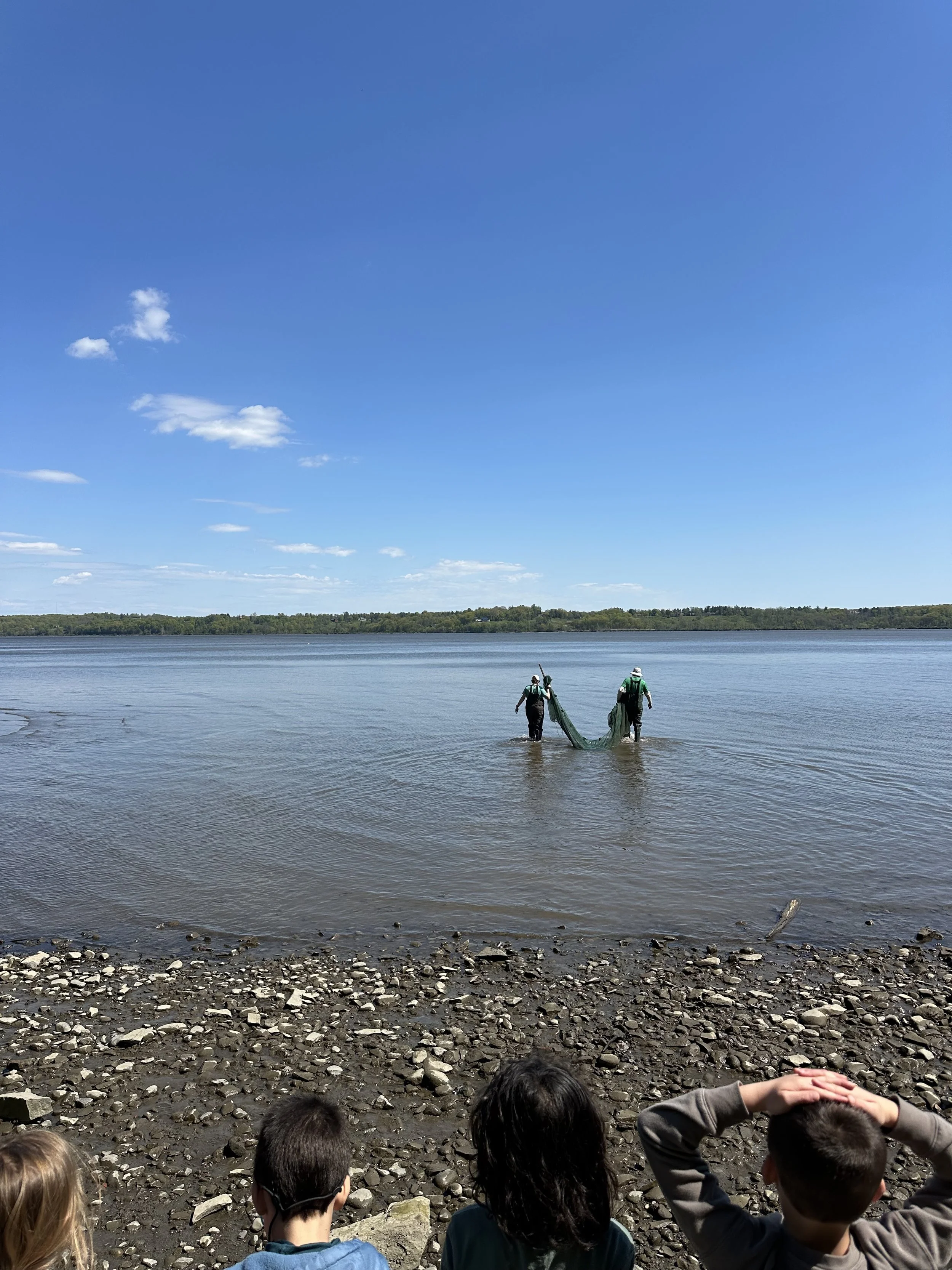 IMG_0333.jpeg