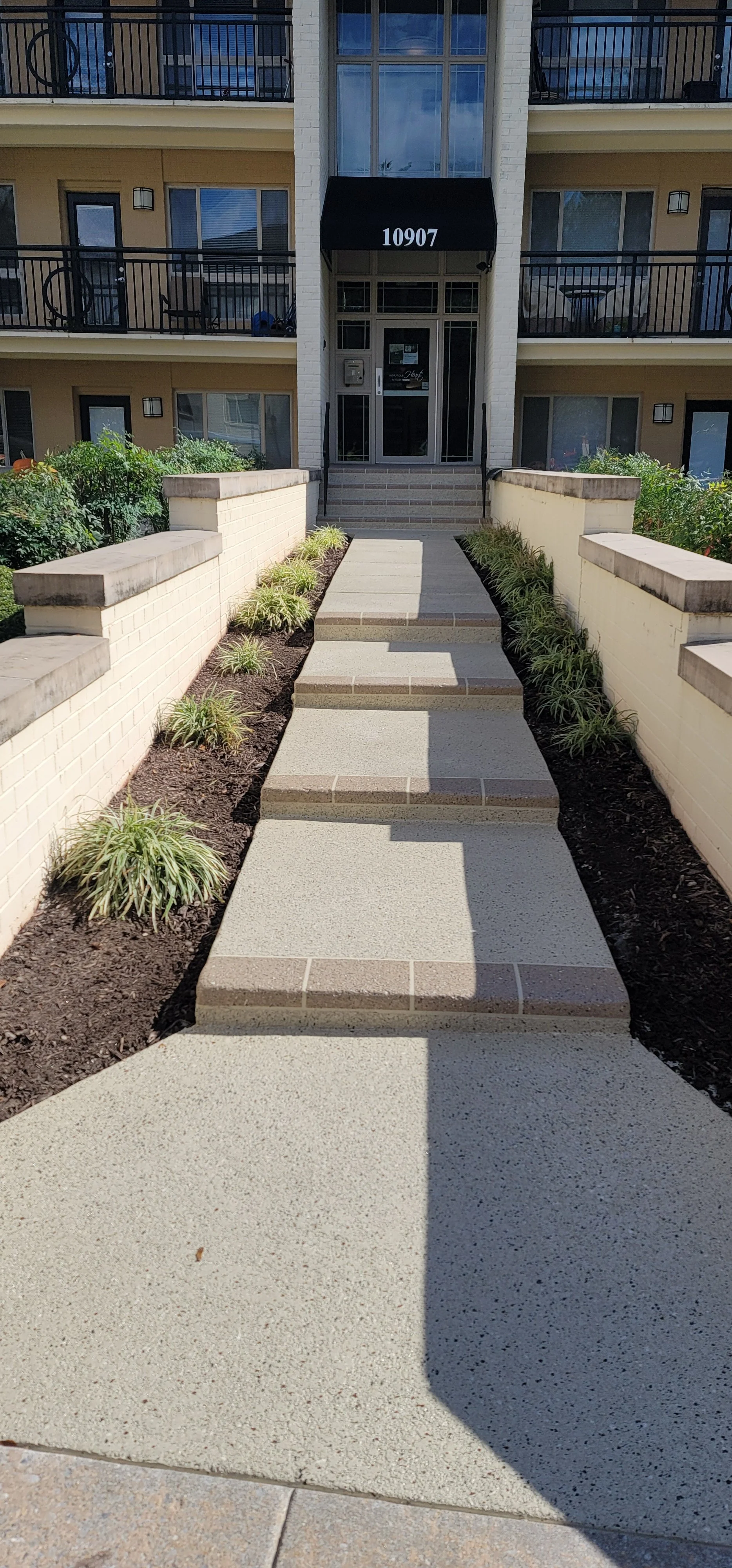 Concrete walkway leading to a glass door entrance of a multi-story apartment building with black railings and balconies, with plants on either side of the walkway.