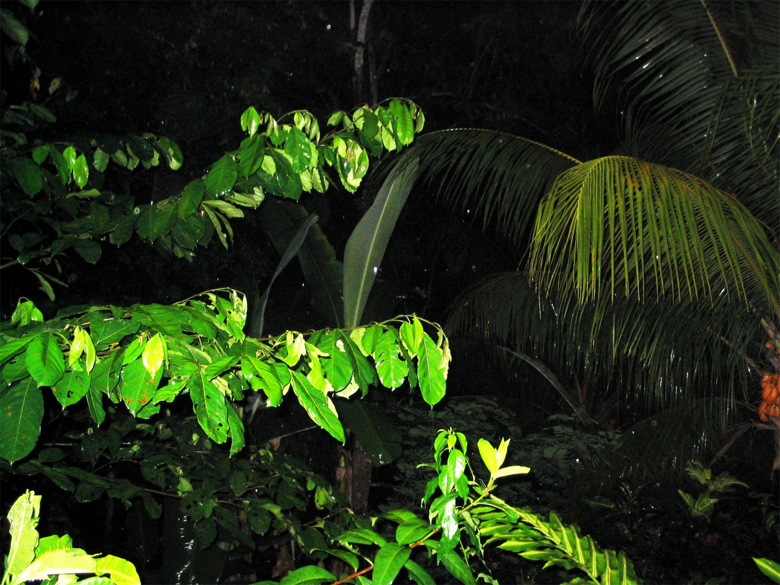 CostaRica.05%20059.jpeg