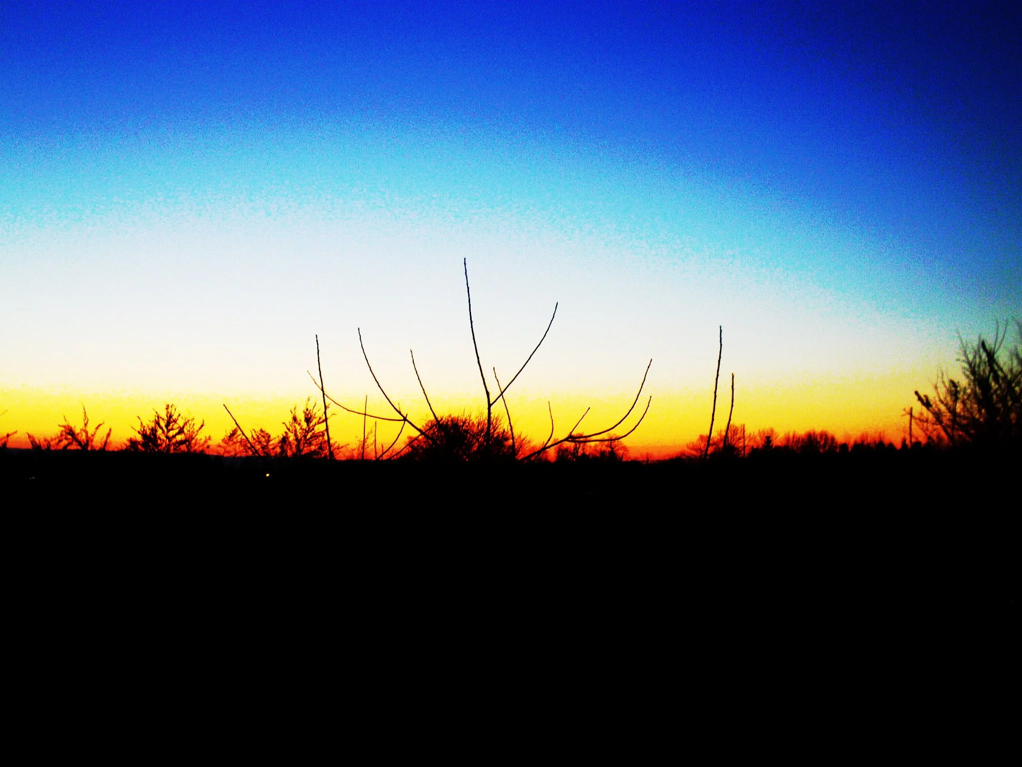 sunset%20at%20farm%20(1).jpeg