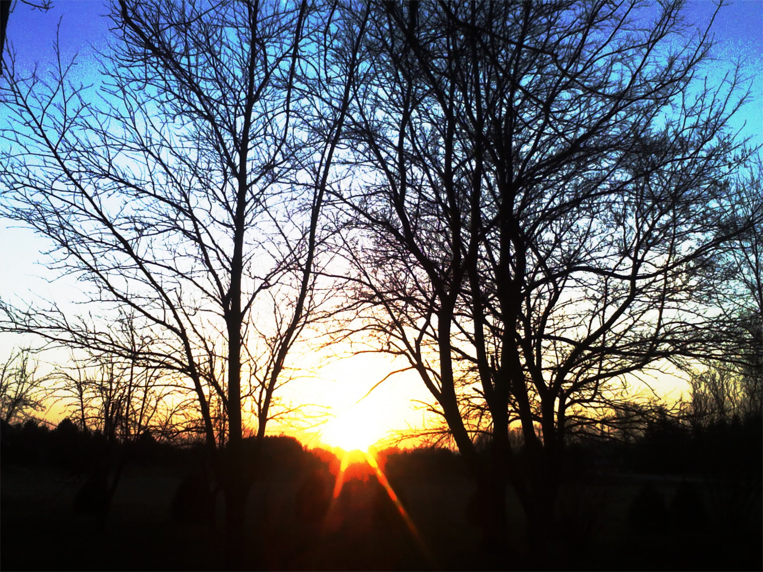 farm%20sunset%20(1).jpeg