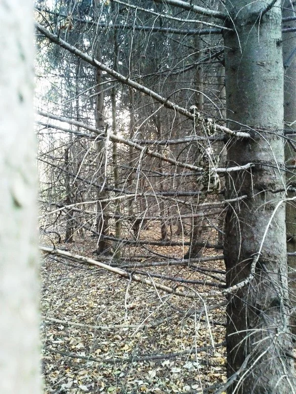 IMG_20121021_170701 (1).jpeg