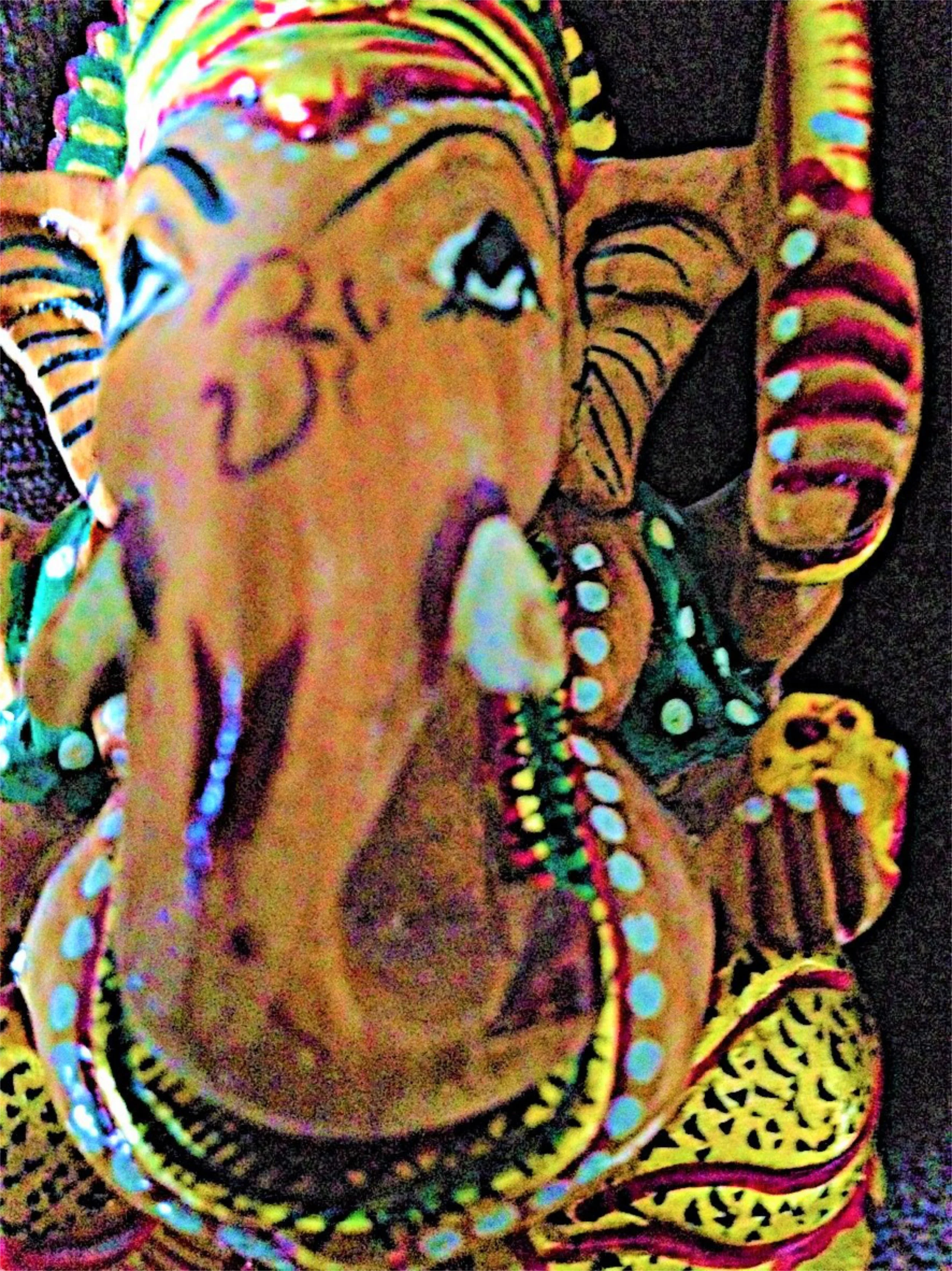 IMG_1905.jpeg