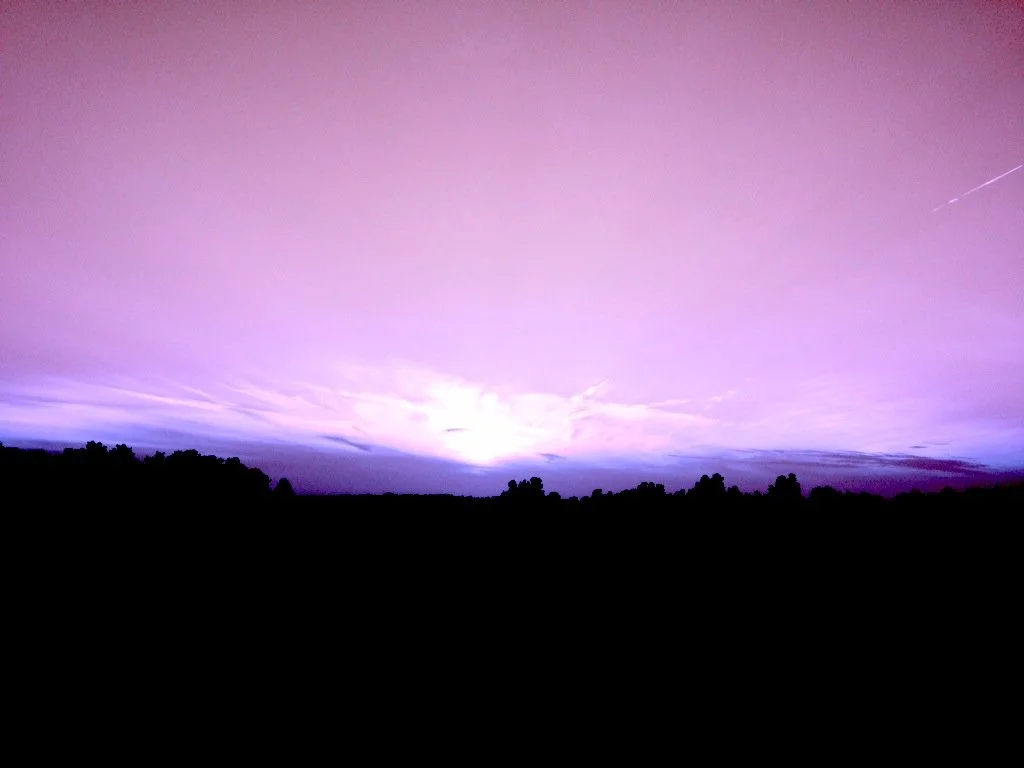 IMG_0822.jpeg