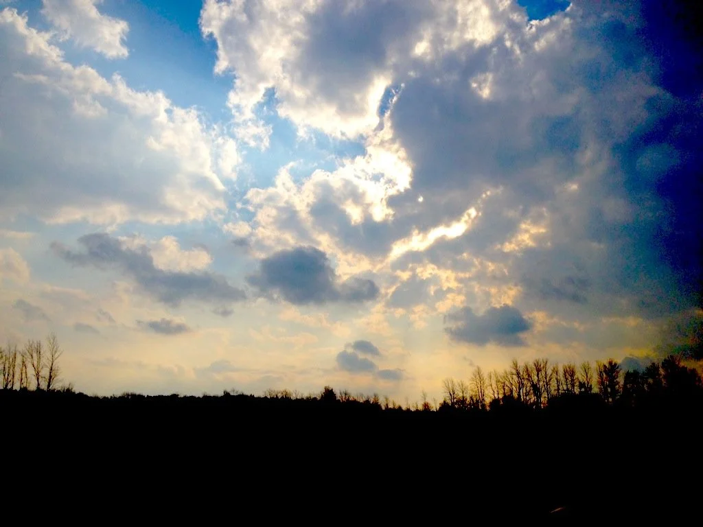 IMG_1126.jpeg