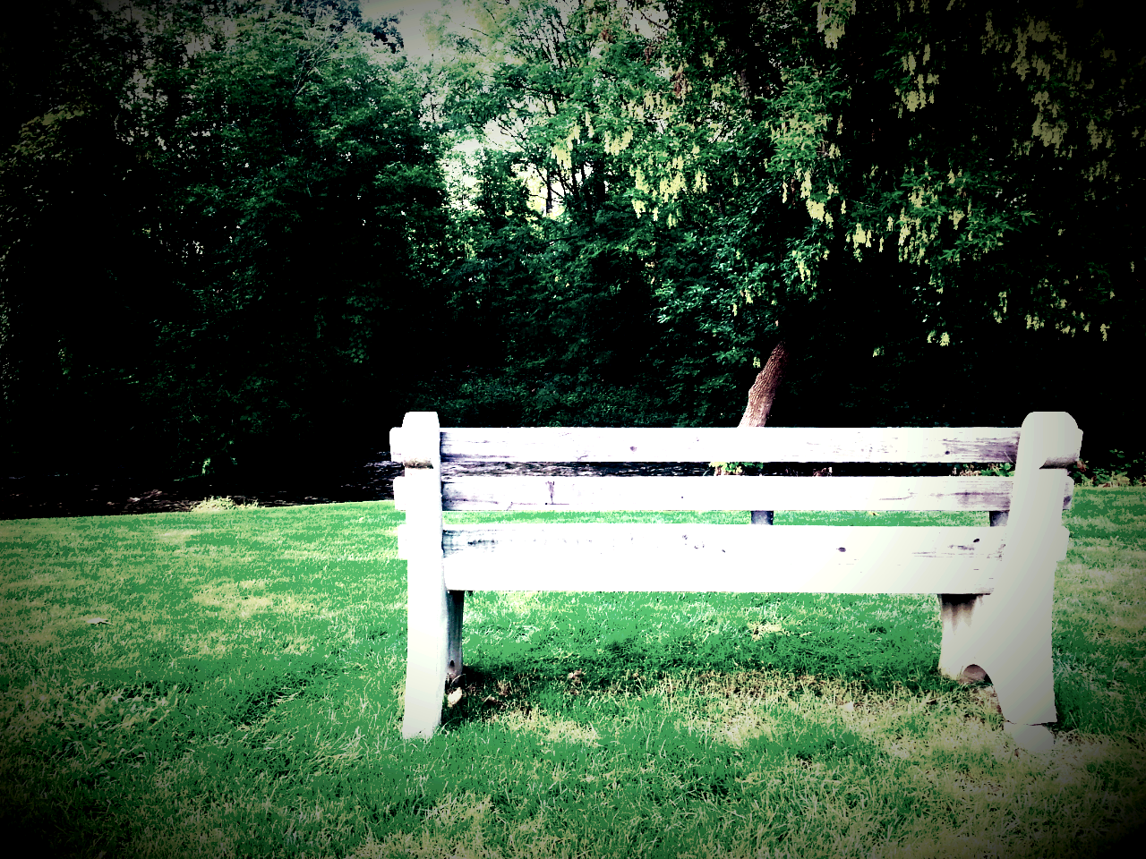 existential cover photo.png