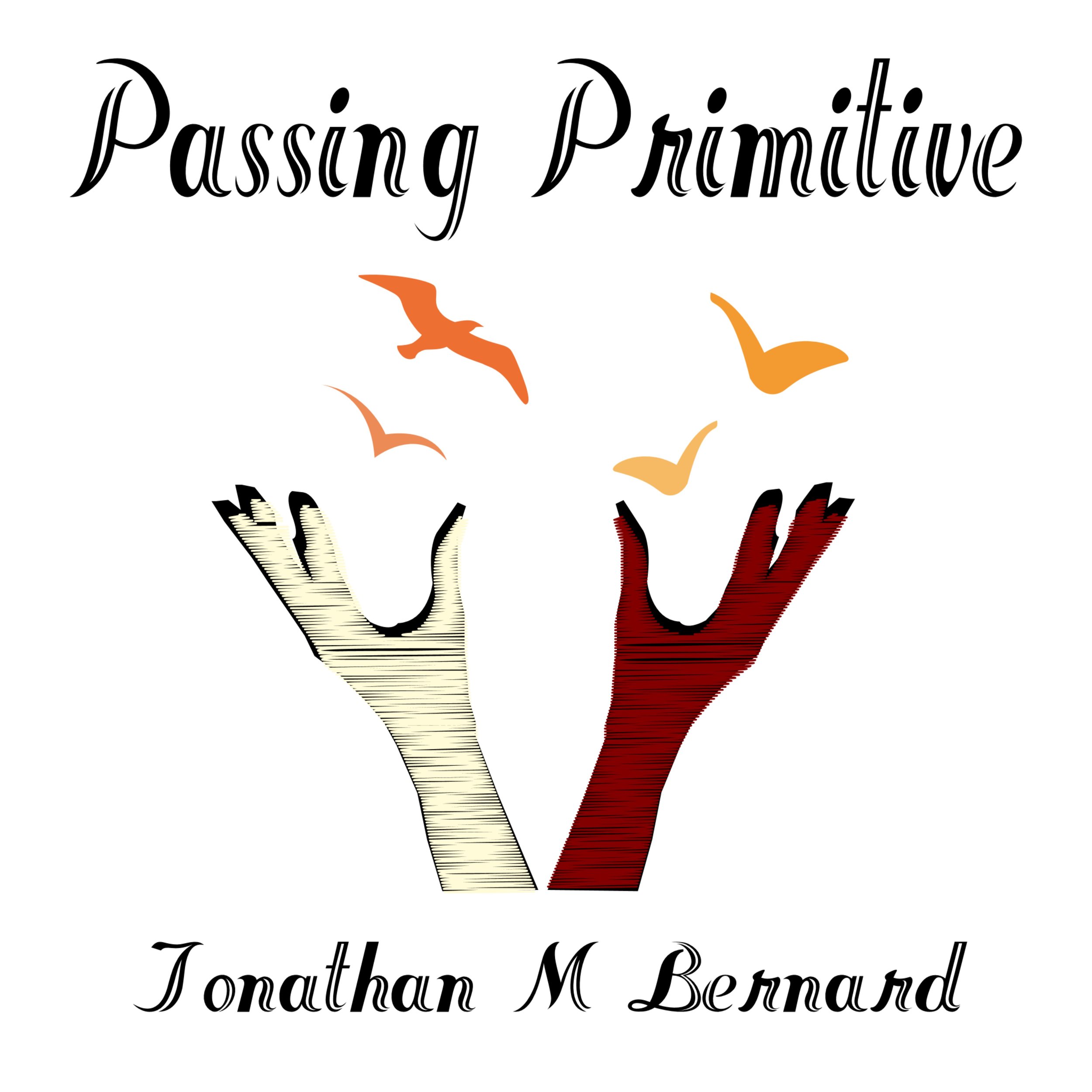 Passing Primitive