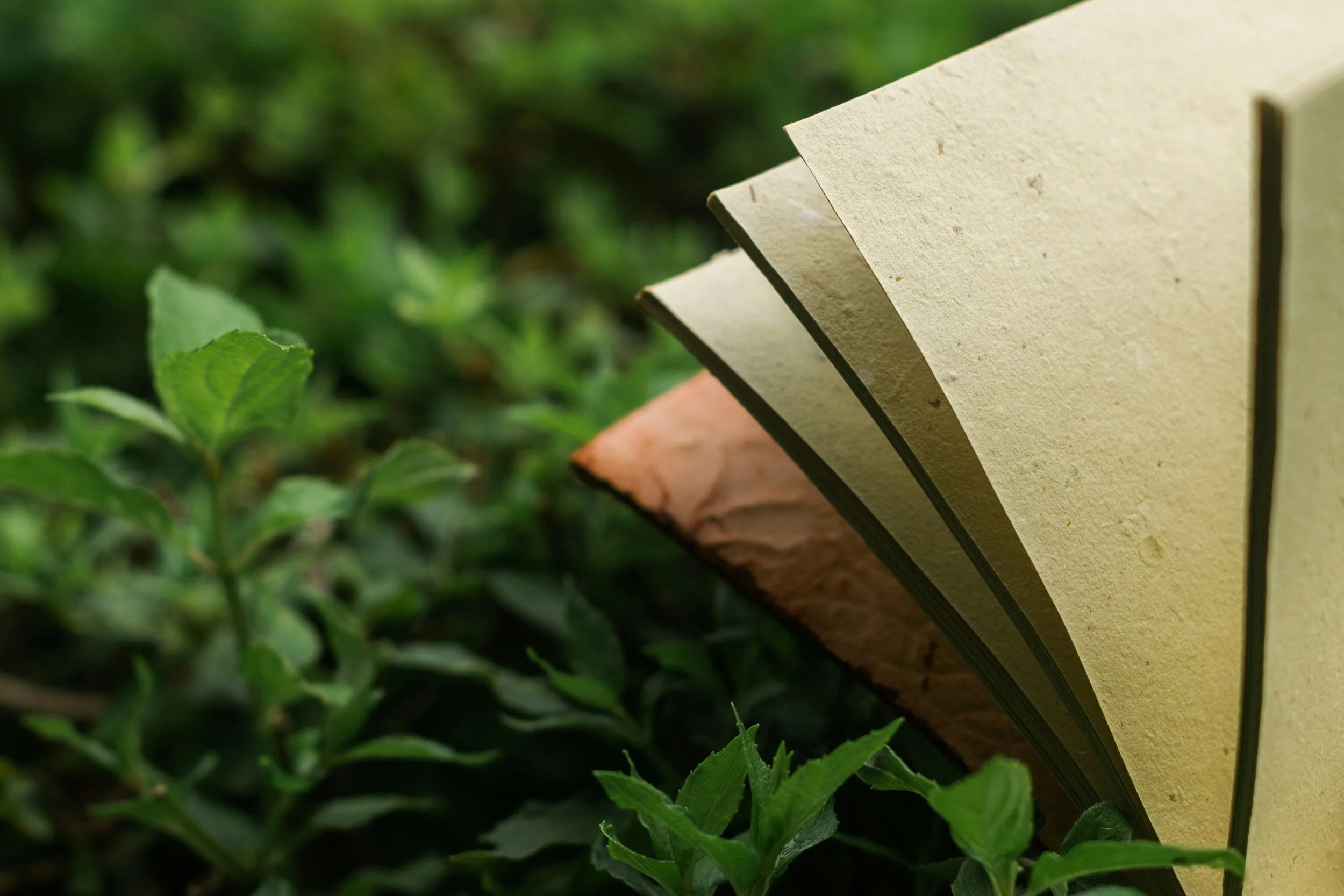 THC / CBD Paper (Invention)