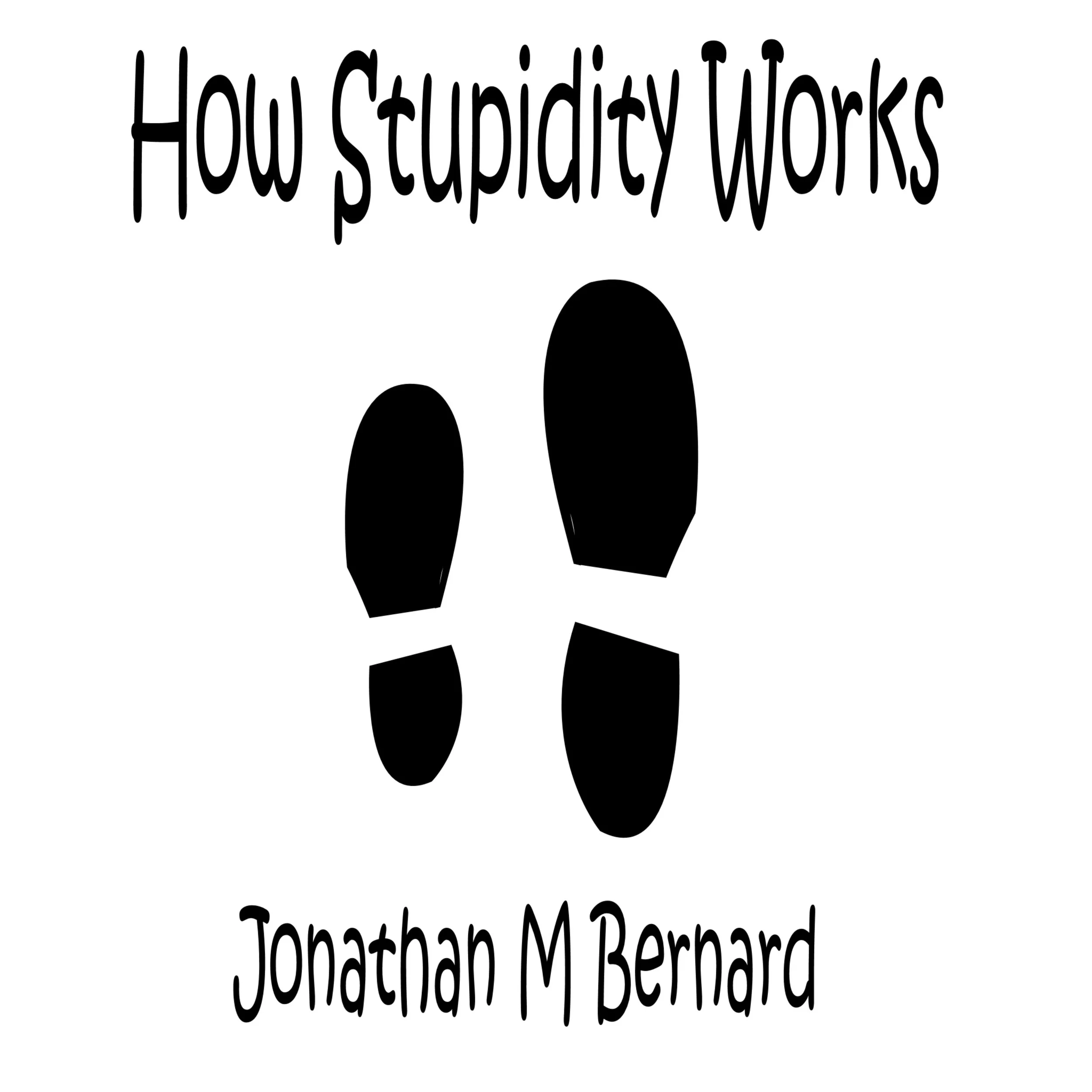 How Stupidity Works