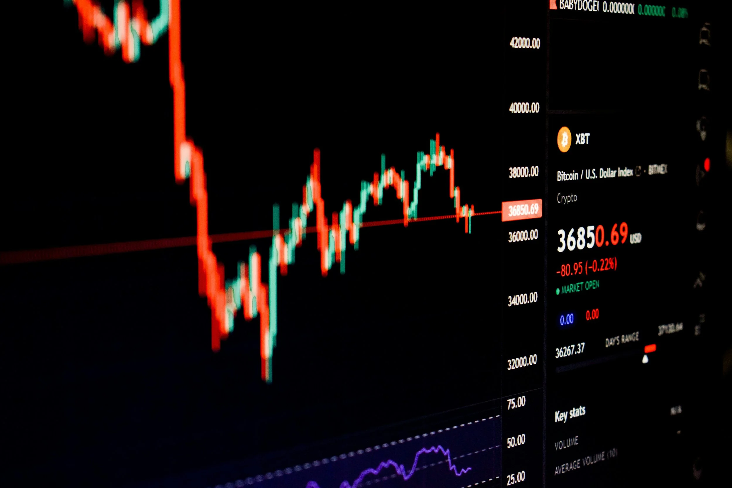 Bond Stocks (Business Plan)