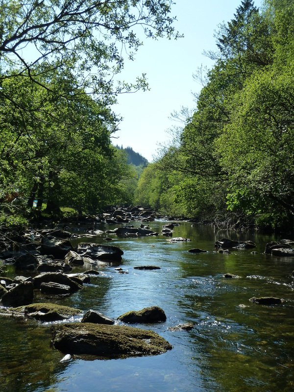 A peaceful river flowing through a green, wooded area with rocks visible in the water and trees on both sides.