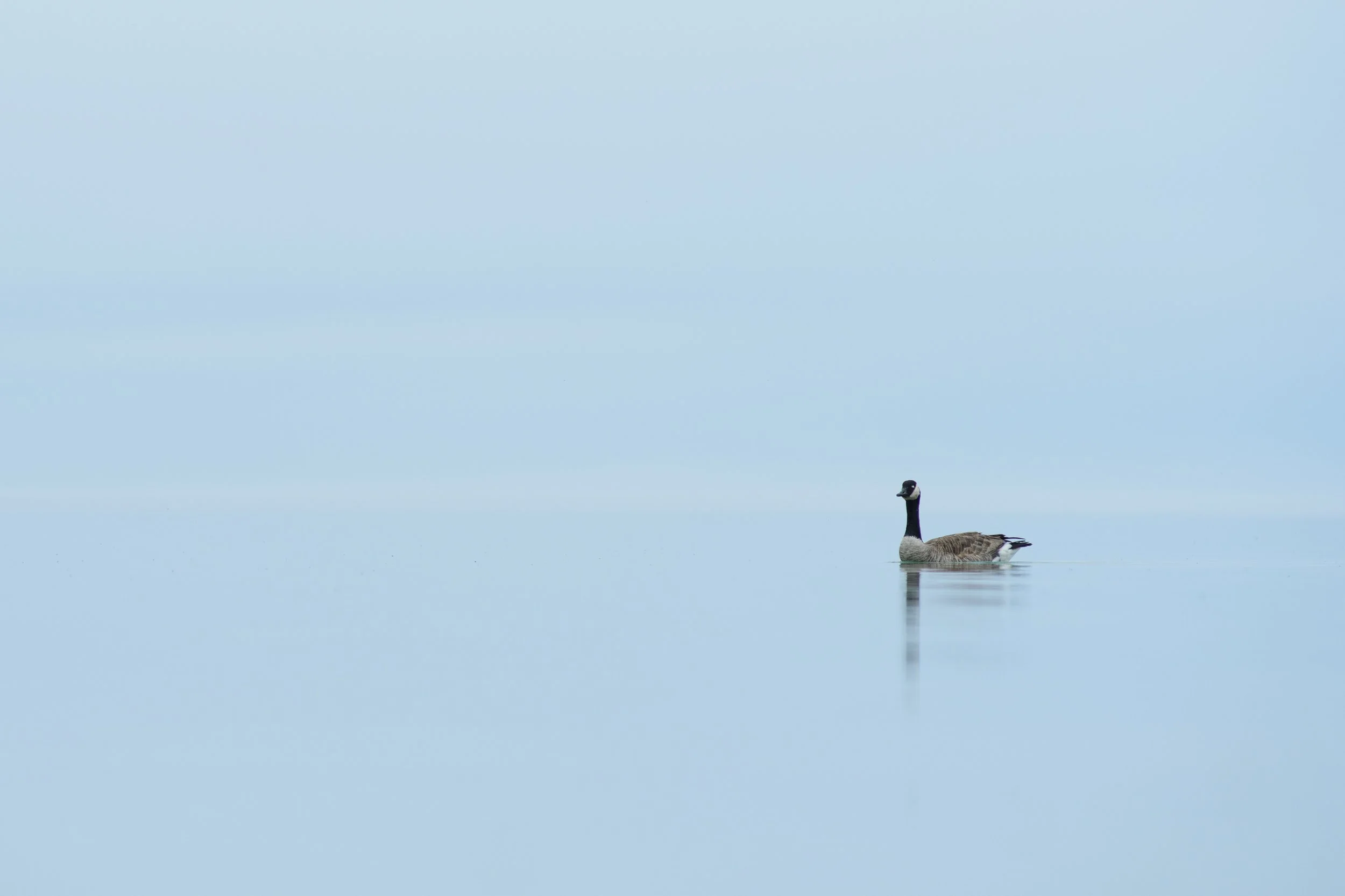 DSC_1269.jpg