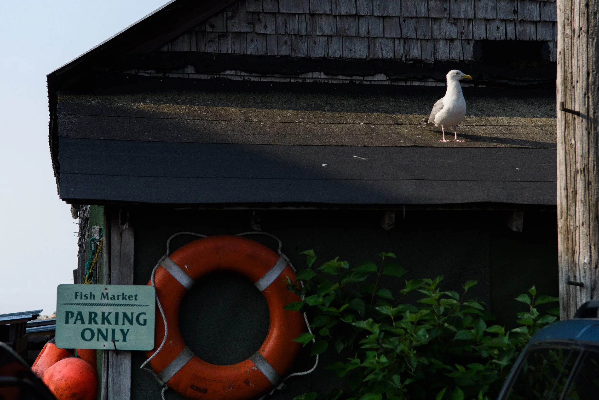 First Customer,  Digital Photograph, July 2025 