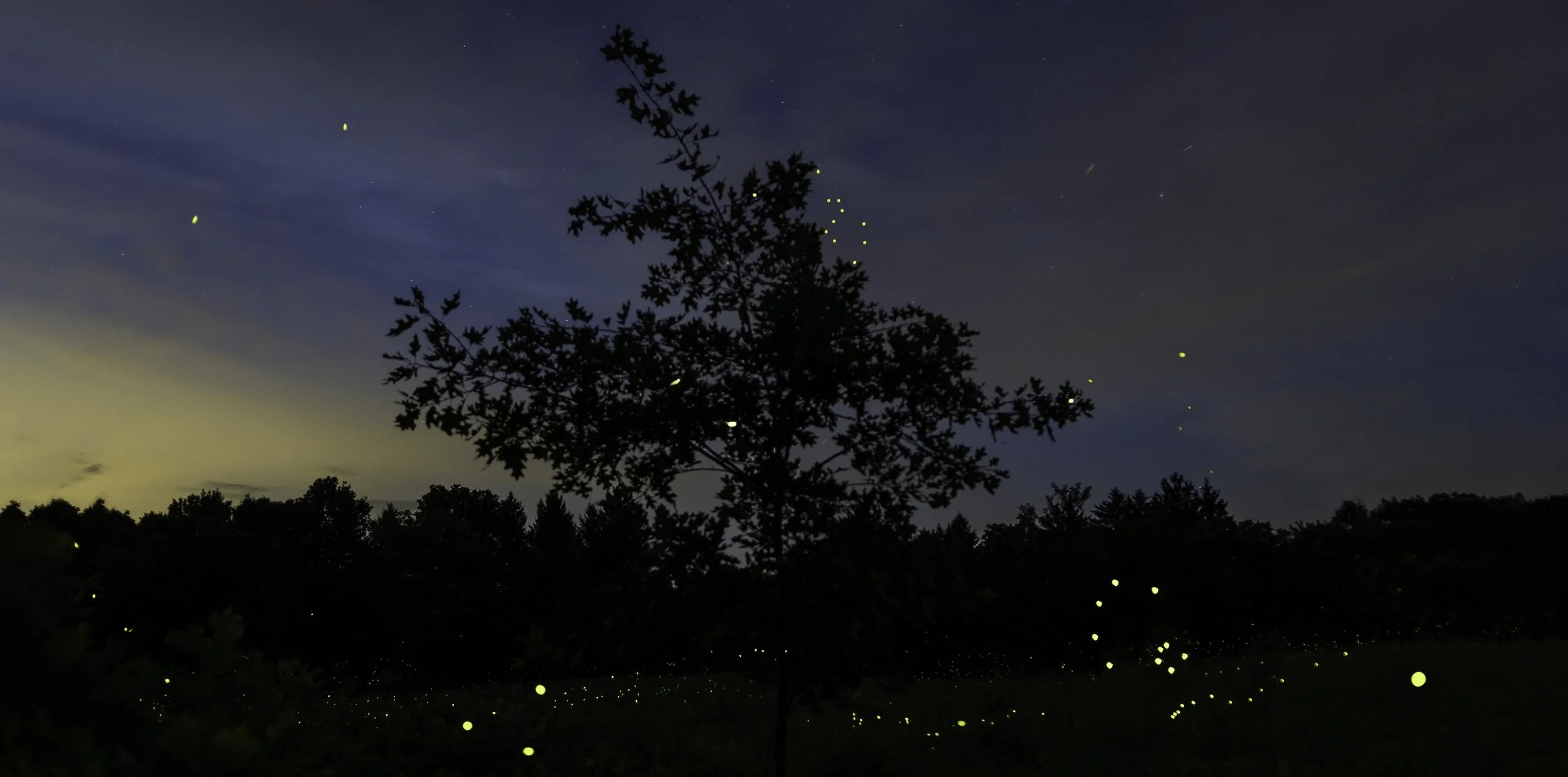 Sparkling Show,  Digital Photograph, July 2026