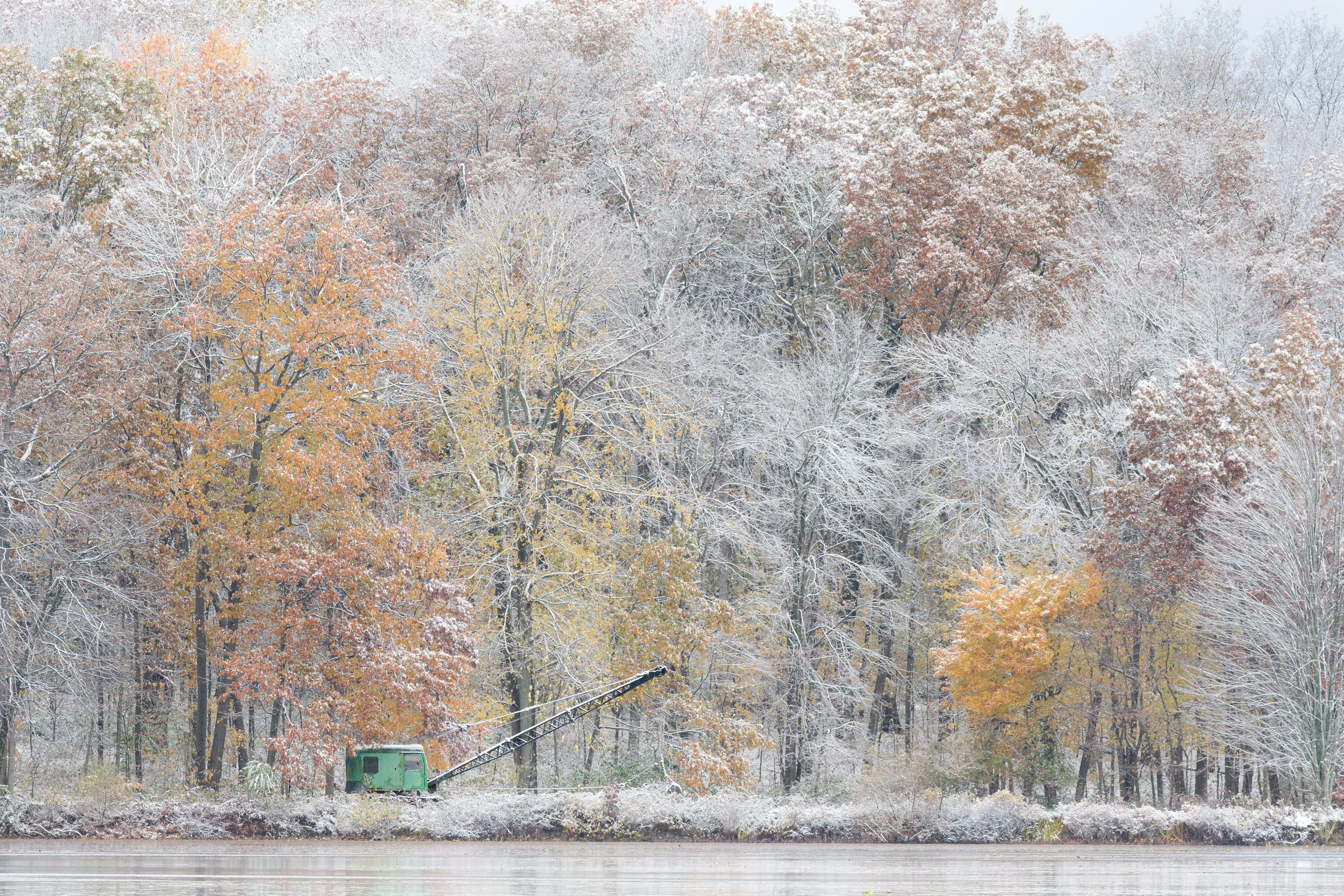 First Snow, Lillian Anderson Arboretum, Digital Photograph, October 2025