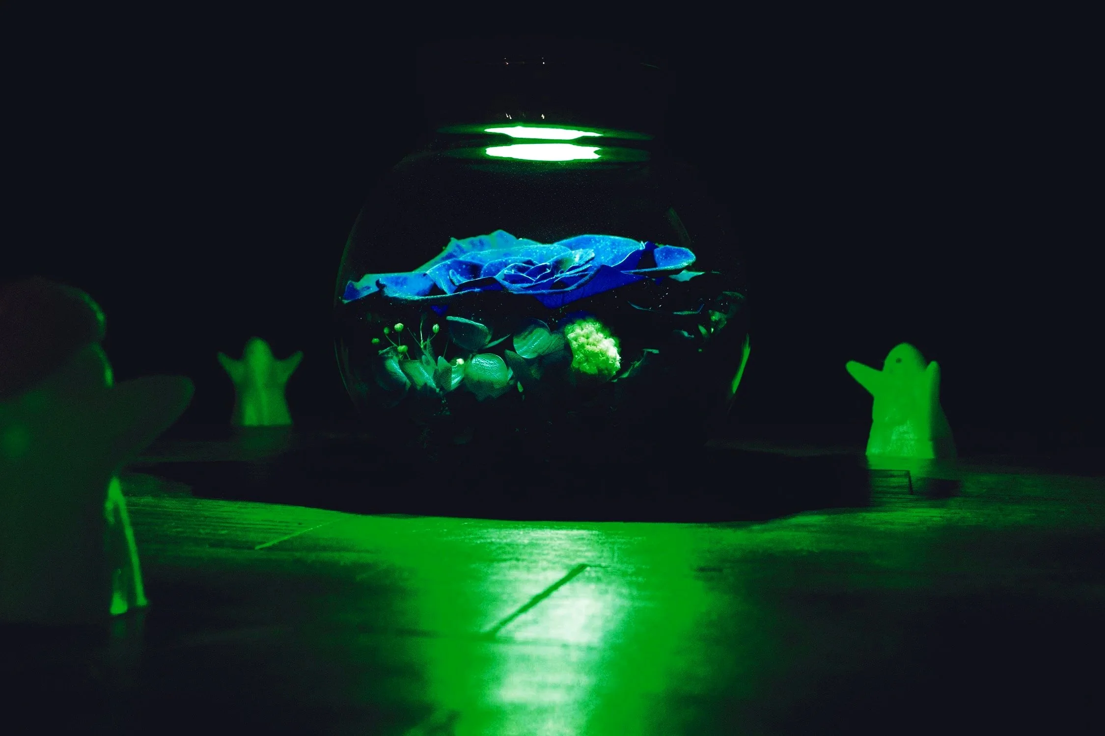 Clean+Depth+of+field+Small.jpg