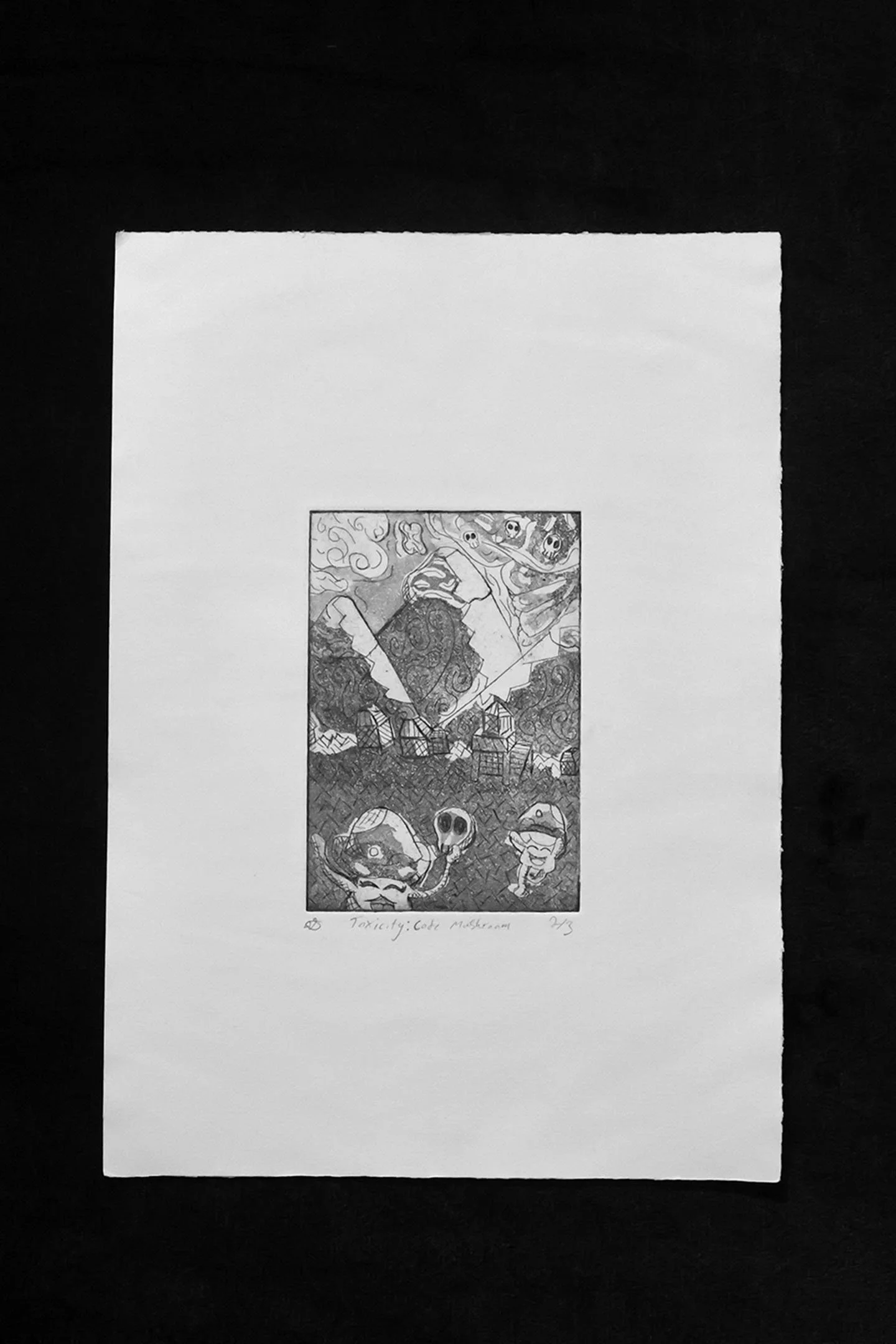 Toxicity: Code Mushroom, intaglio Print via copper plate, 4"x6", an edition of three, 2025