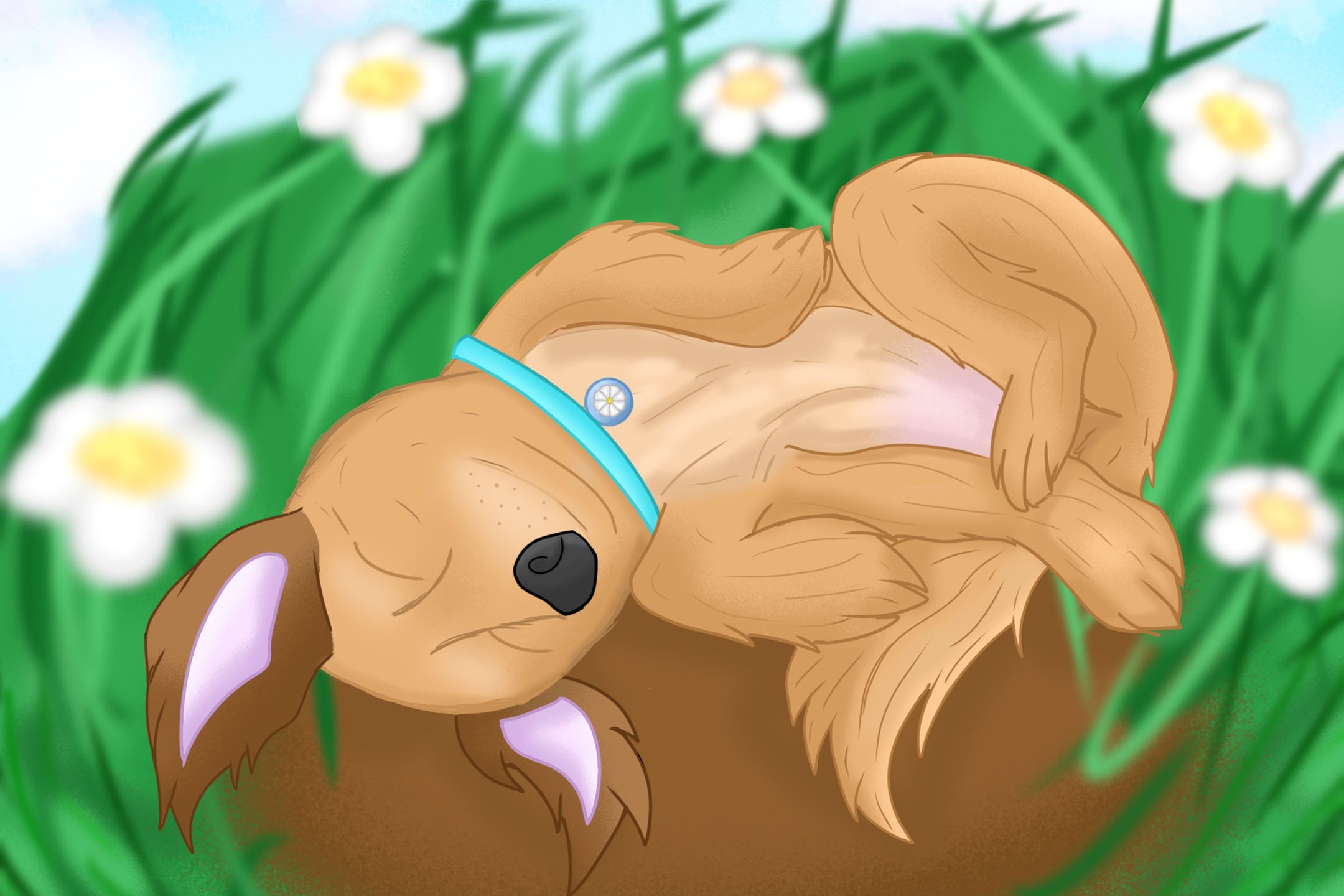 Sleeping Daisy Portrait, 2026