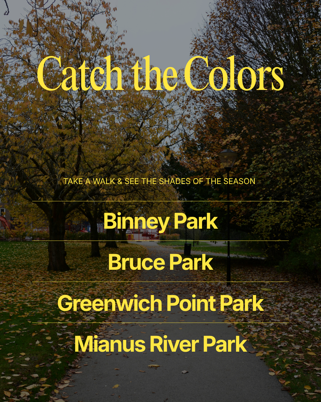 CatchTheColors.png