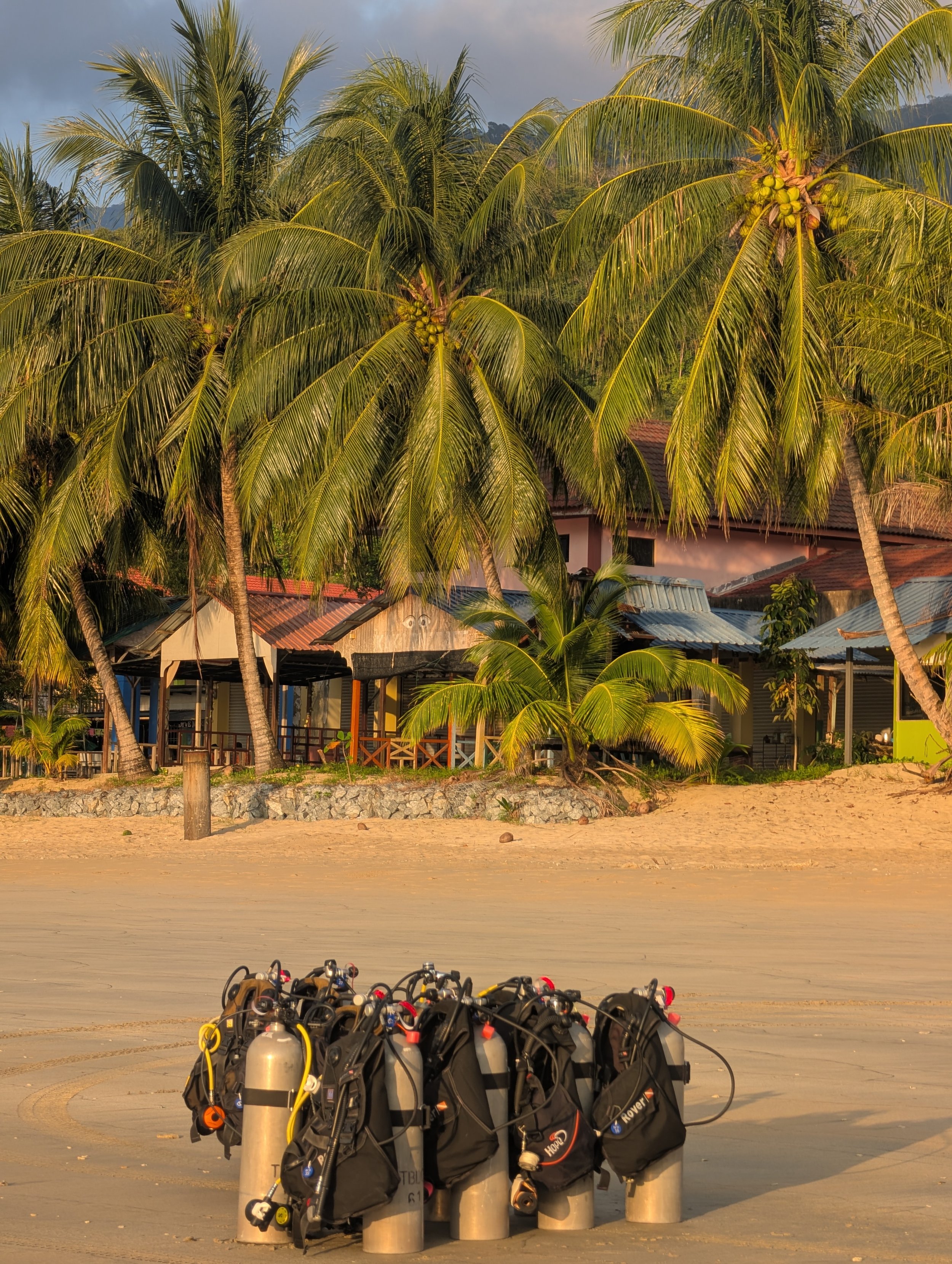 Bunch of scuba diving tanks and gear lined up on a sandy beach with palm trees and houses in the background.