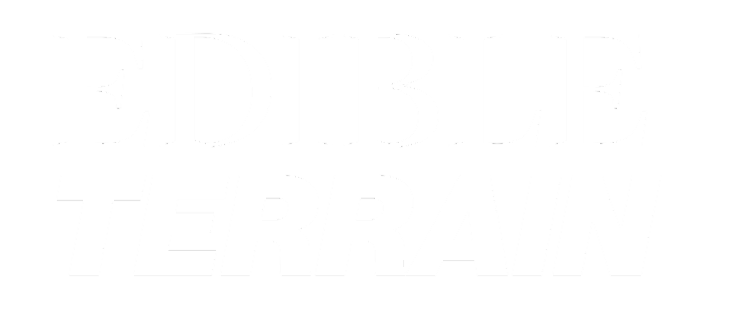Edible Terrain