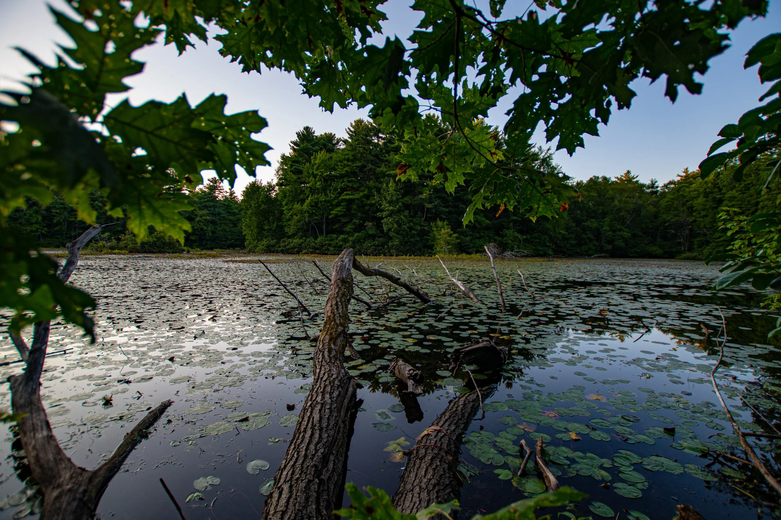 BLACKWATER BLOCK