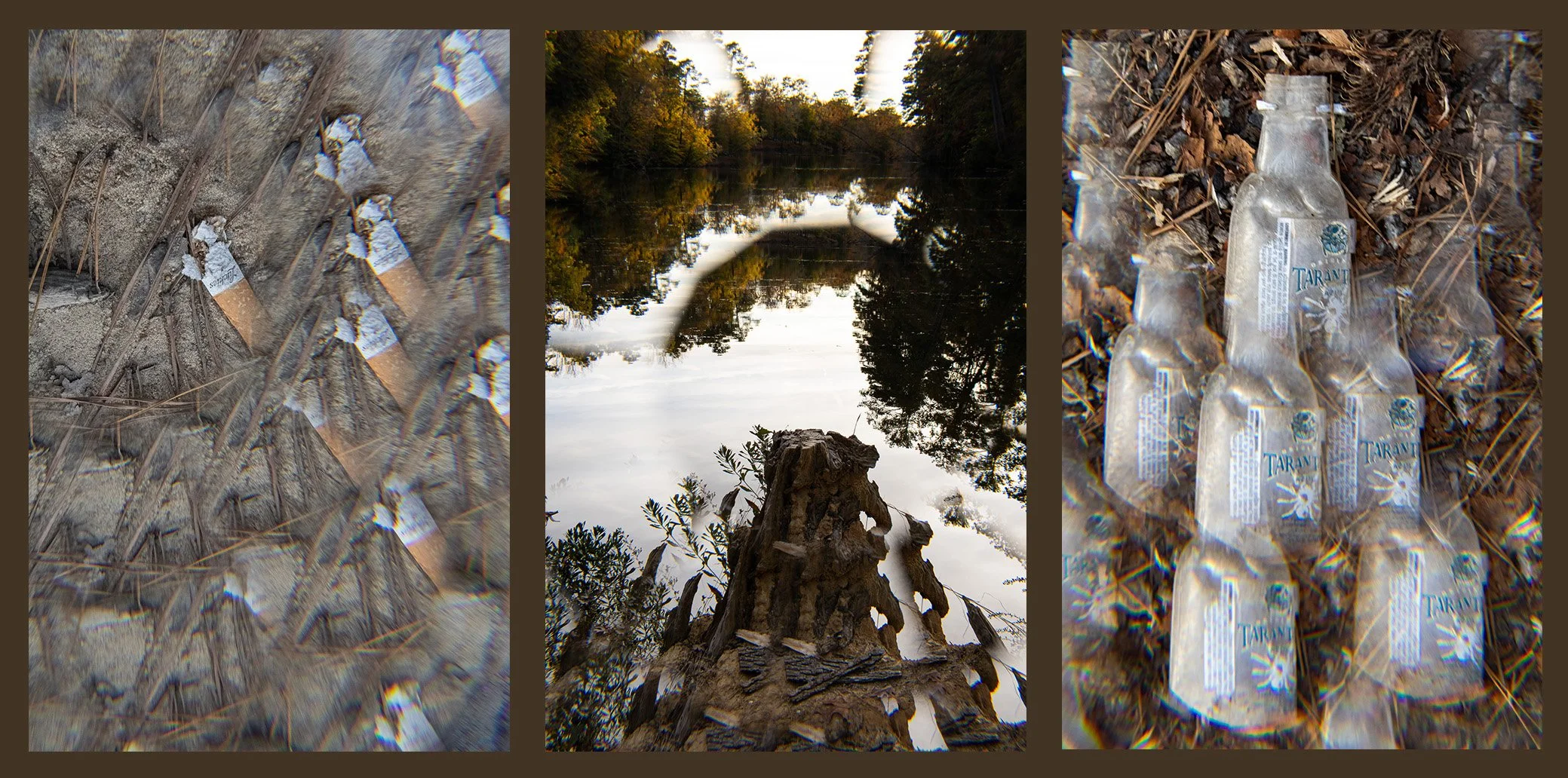 Jackson_Triptych1_P4.jpeg