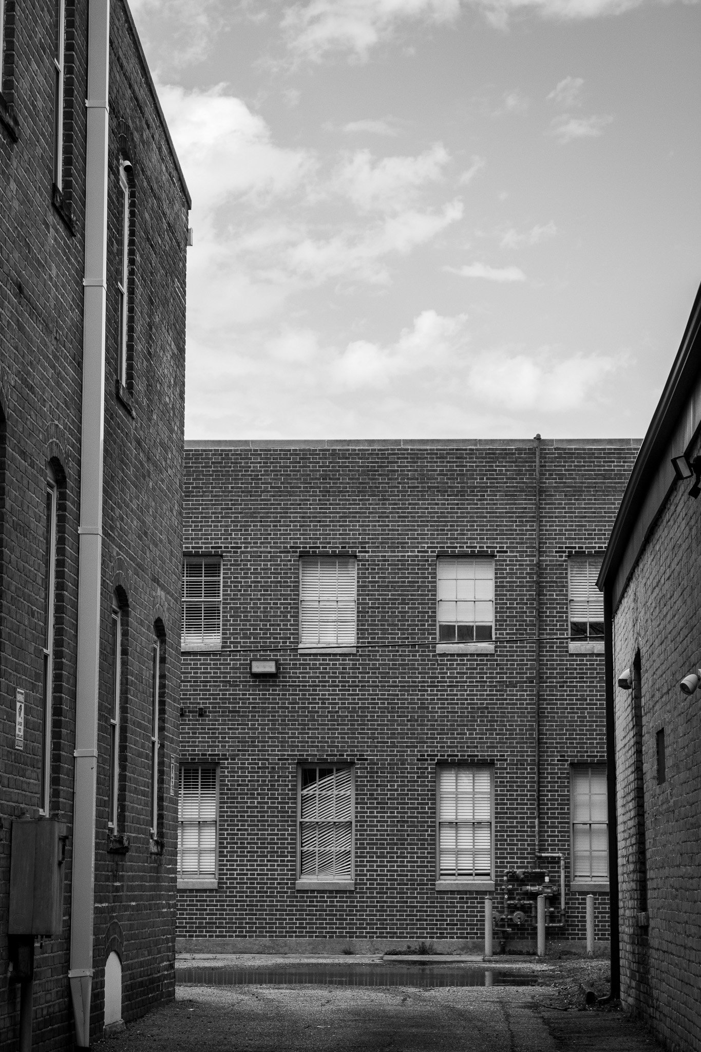 IMG_9759.jpeg