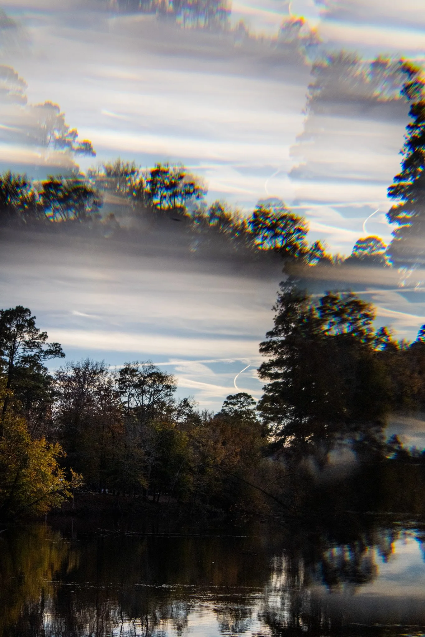 IMG_7763.jpeg