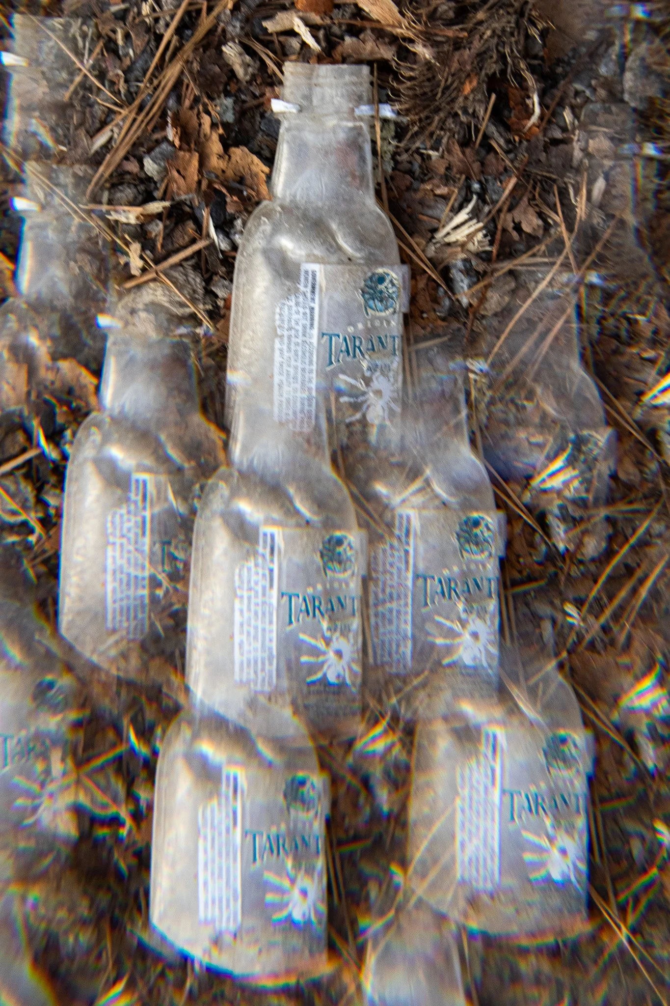 IMG_7809.jpeg