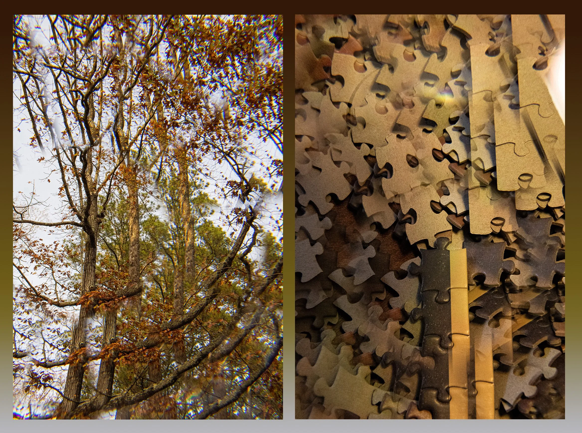 Jackson_Diptych1_P4.jpeg