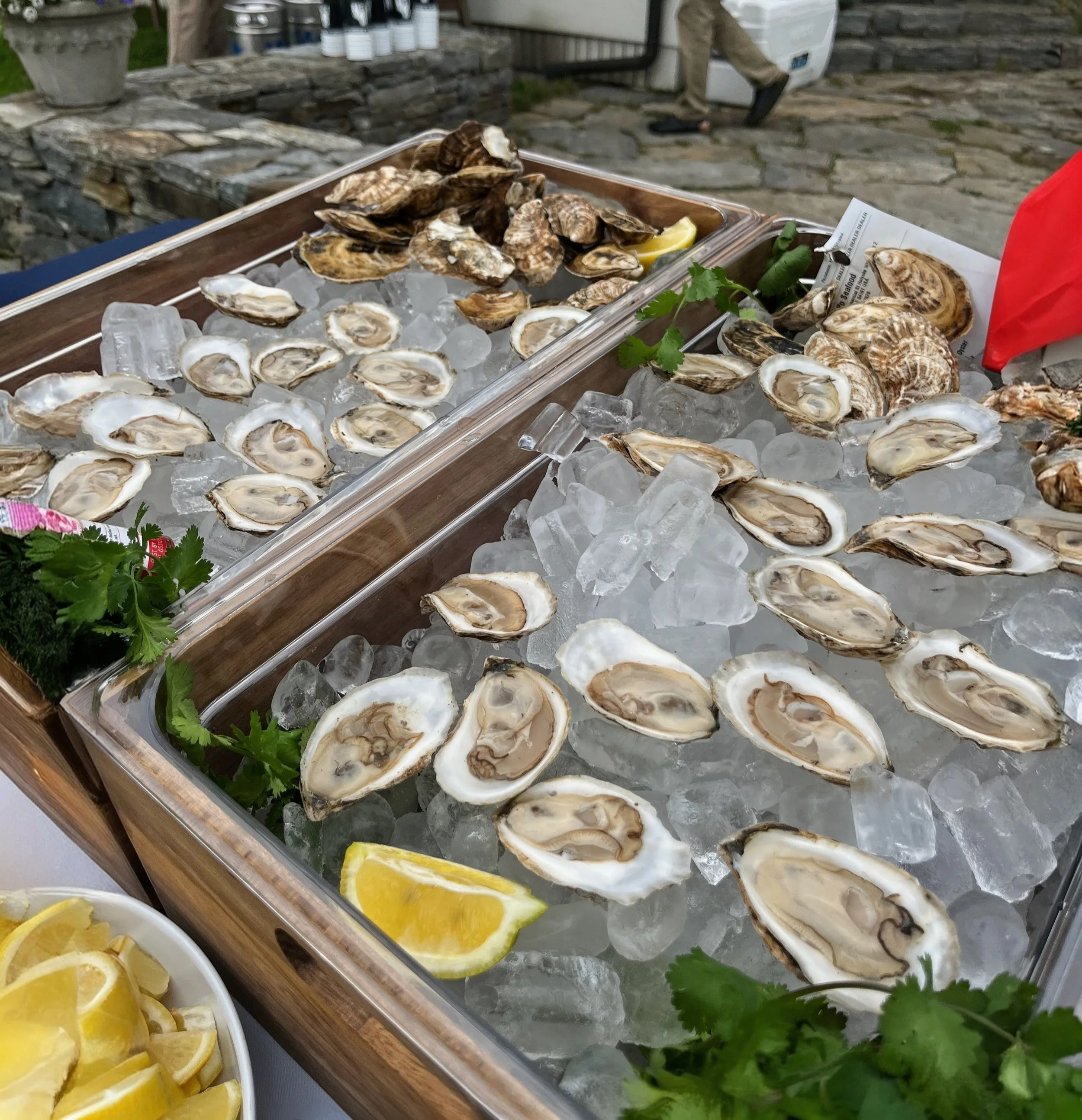 A tray of fresh oysters on ice with lemon wedges and green garnishes, set outdoors on a stone surface.