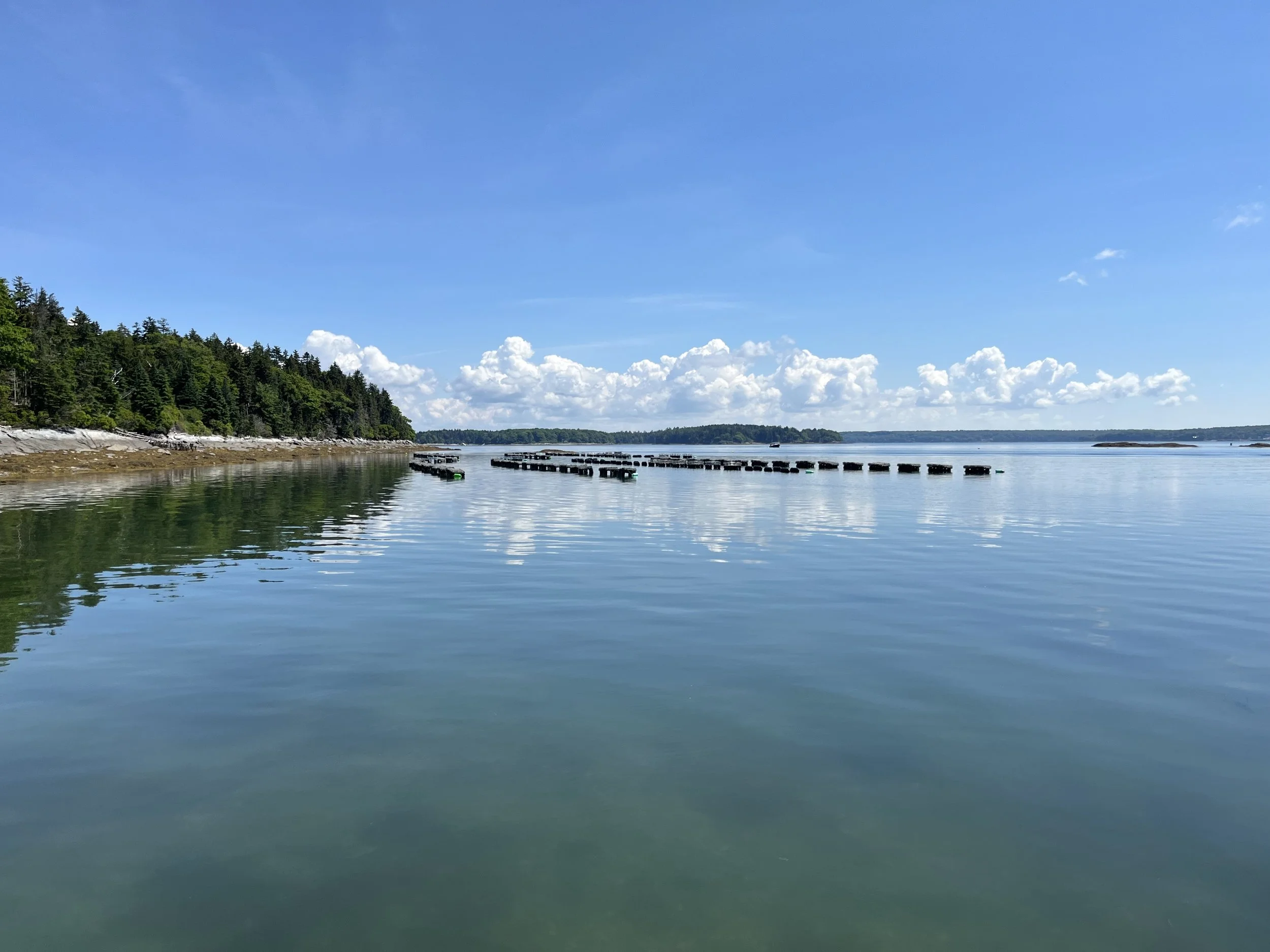 A calm body of water with floating docks, a forested shoreline on the left, and a partly cloudy blue sky above.