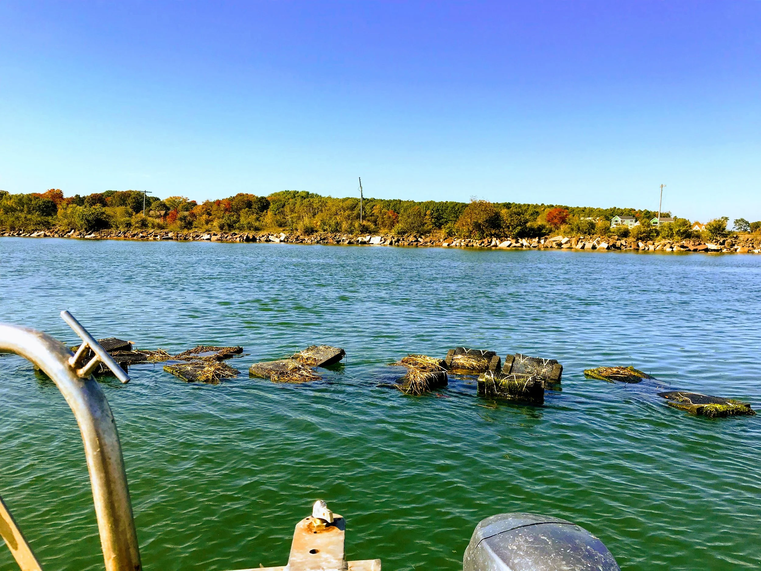 A body of water with rocks along the shoreline and a forested area in the background under a clear blue sky.