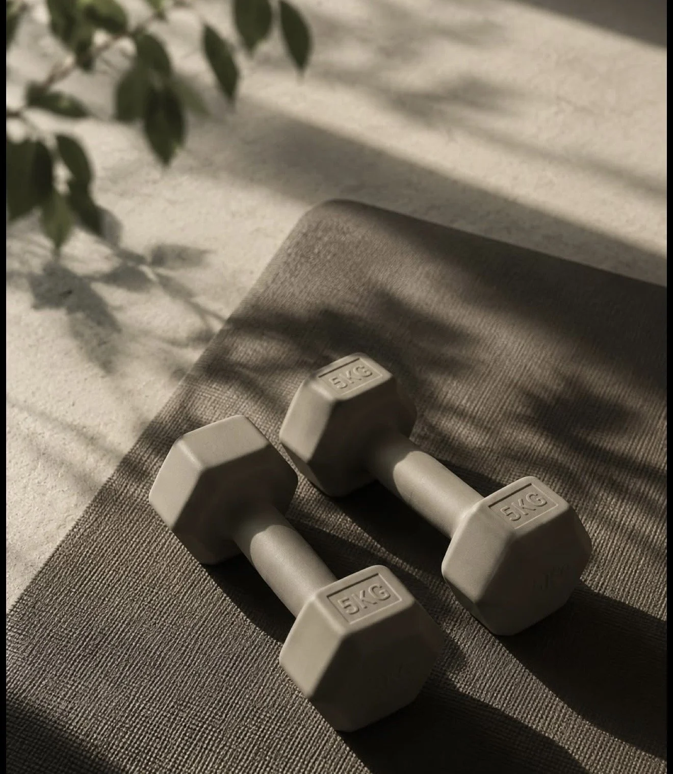 Monthly Wellness Support