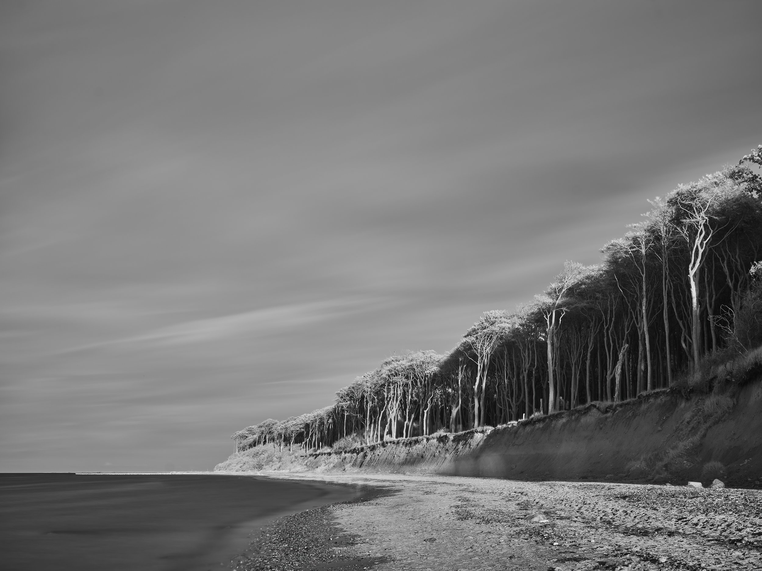 Schwarzweiß-Foto einer Küstenlinie mit einer Klippe und Bäumen auf der rechten Seite, das Meer im Vordergrund und ein bewölkter Himmel.