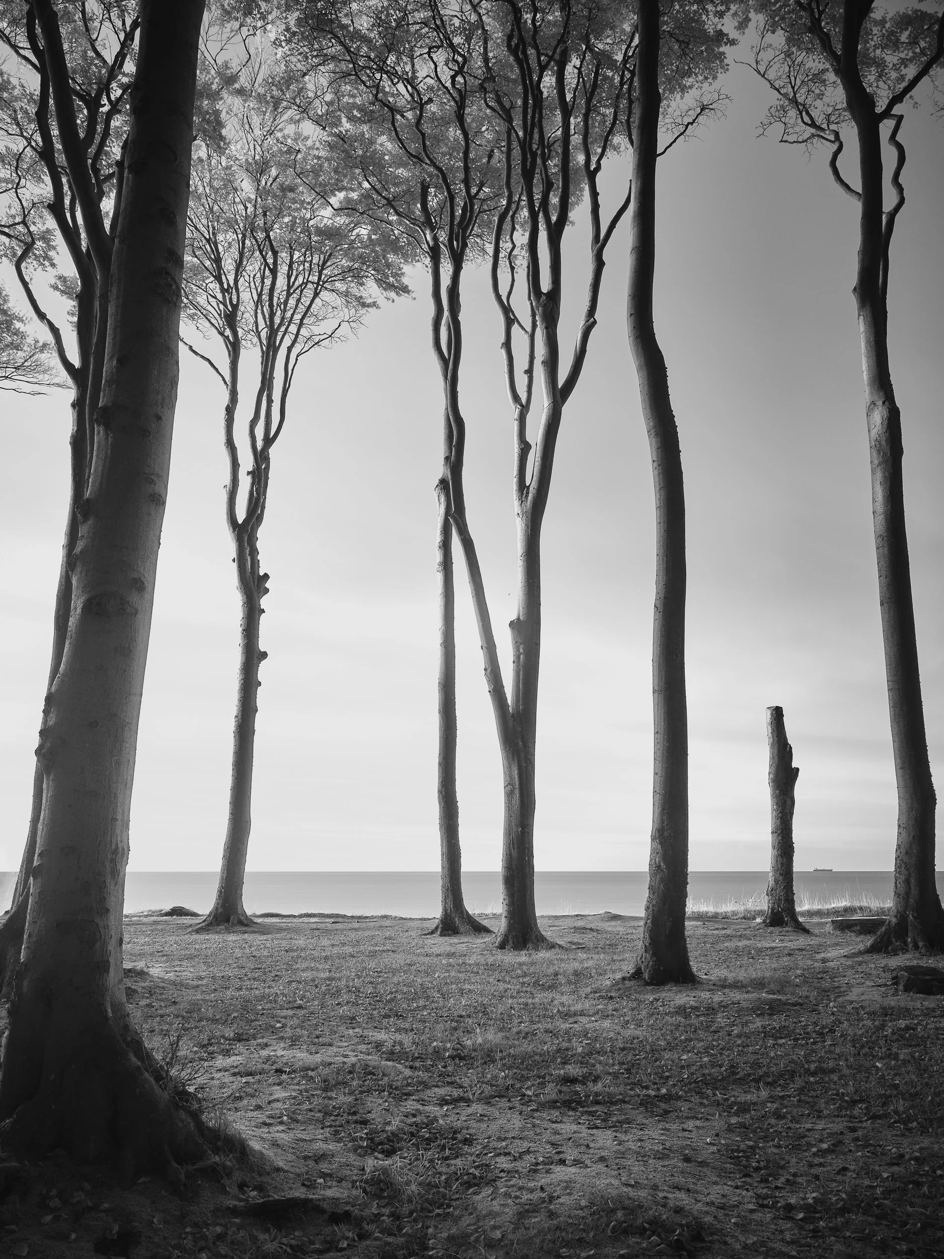Monochrome Awards 2021 Honorable Mentation 
in der Category Professional Fine Art 