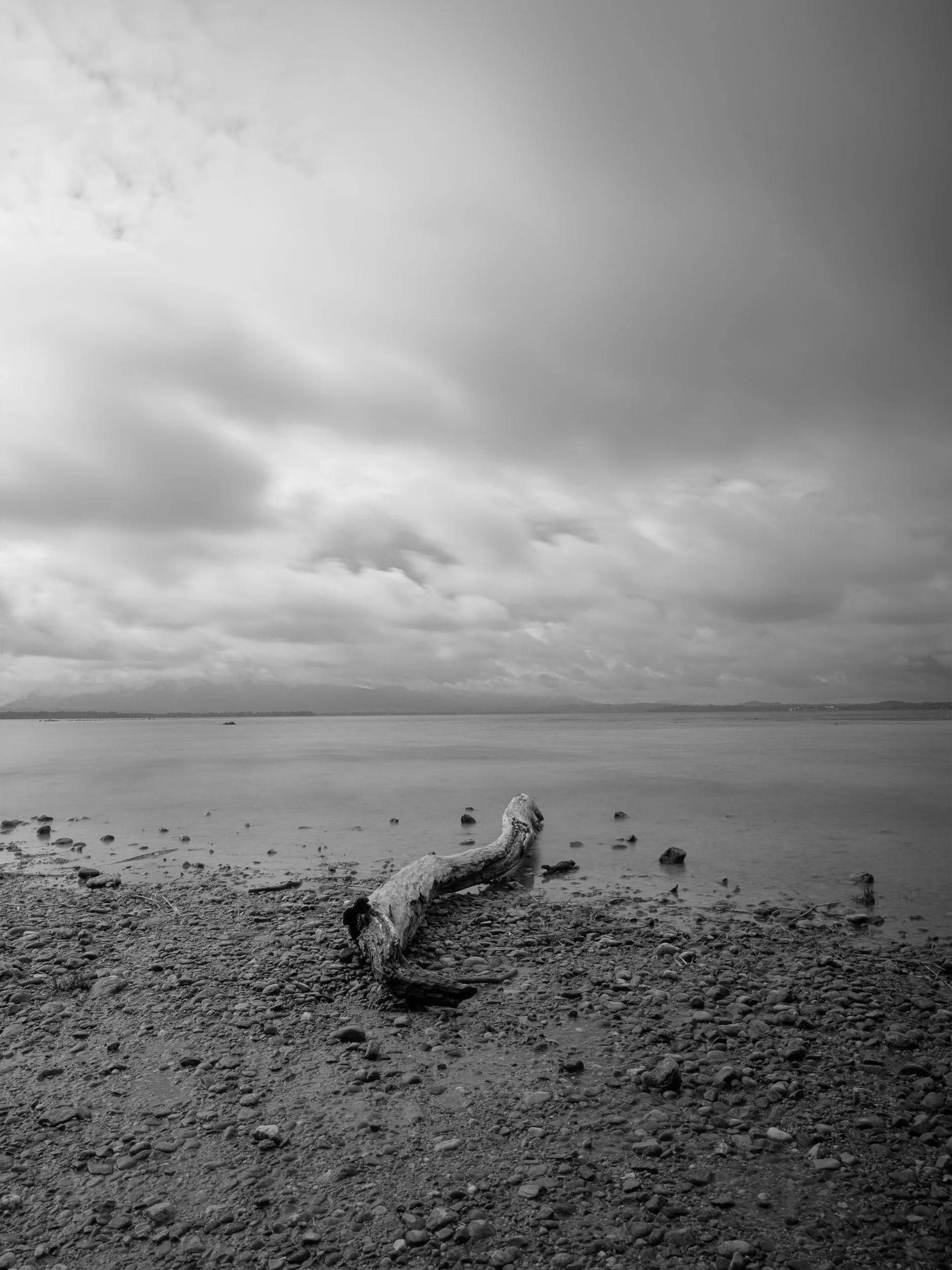 Schwarz-Weiß-Foto eines Strandes mit Steinen, Treibholz und Wasser, Wolken am Himmel.