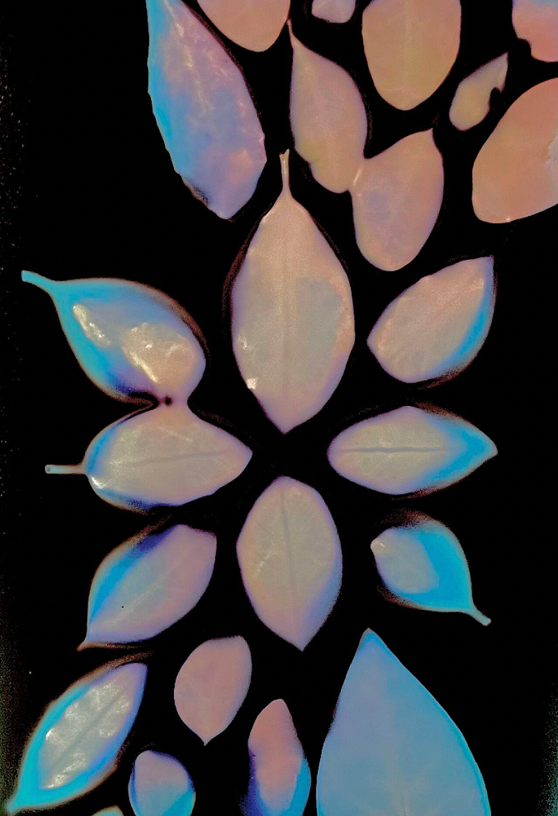 Eva Engel, Untitled, lumen print, 6” x 4”, 2023