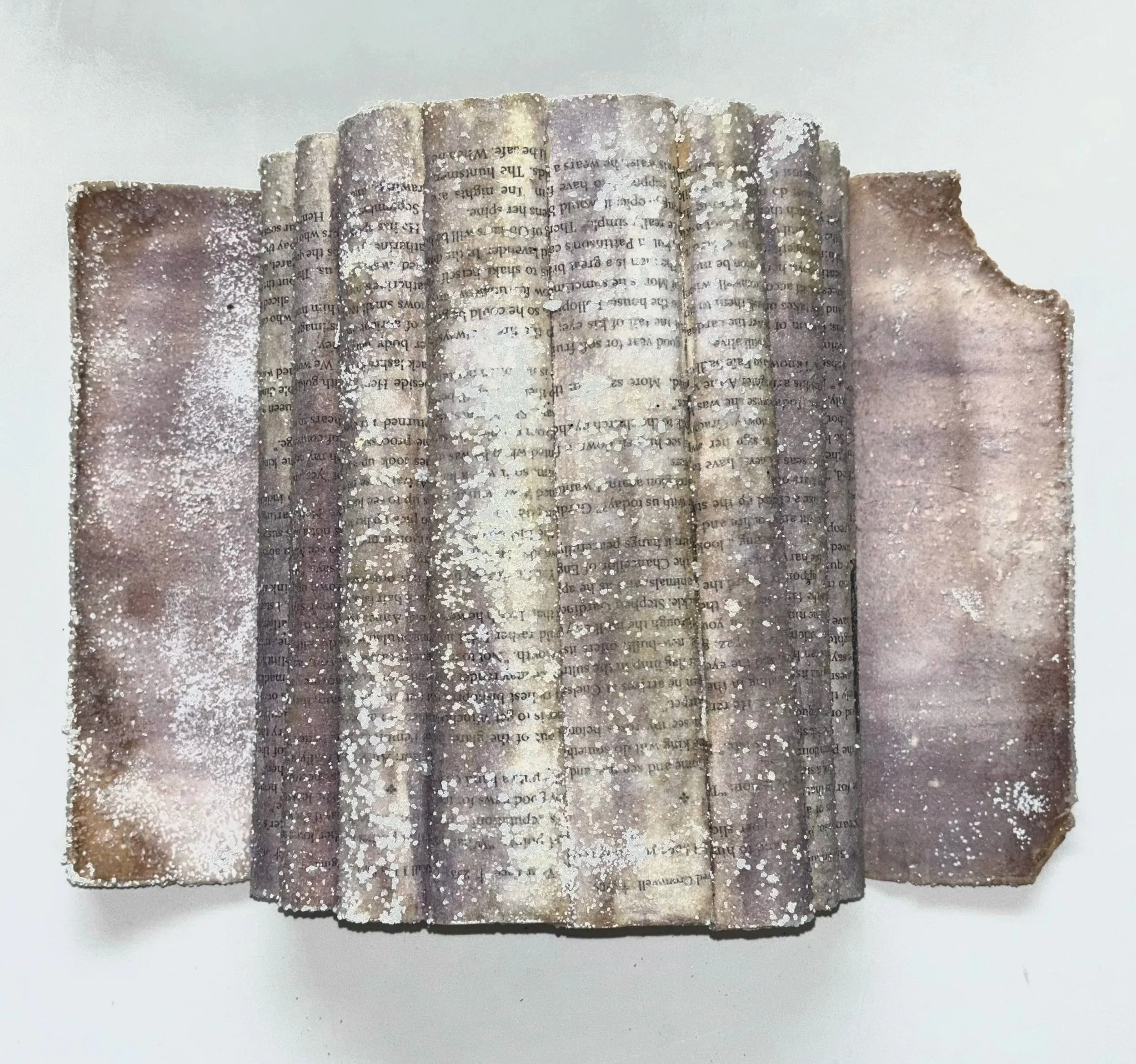 Eva Engel, Crystalized Literature, dye, borax & hot water, 14"x 10", 2023