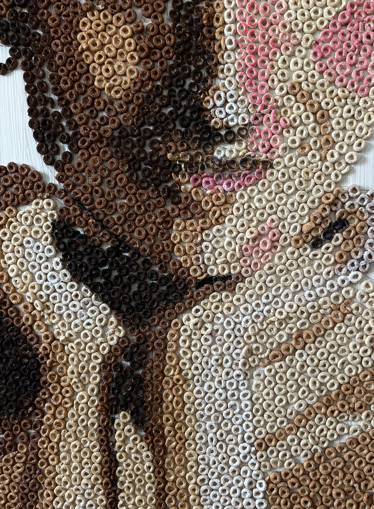 Eva Engel, Close up of Cheerio Portrait, Cheerios, 4’1” x 30”, 2023