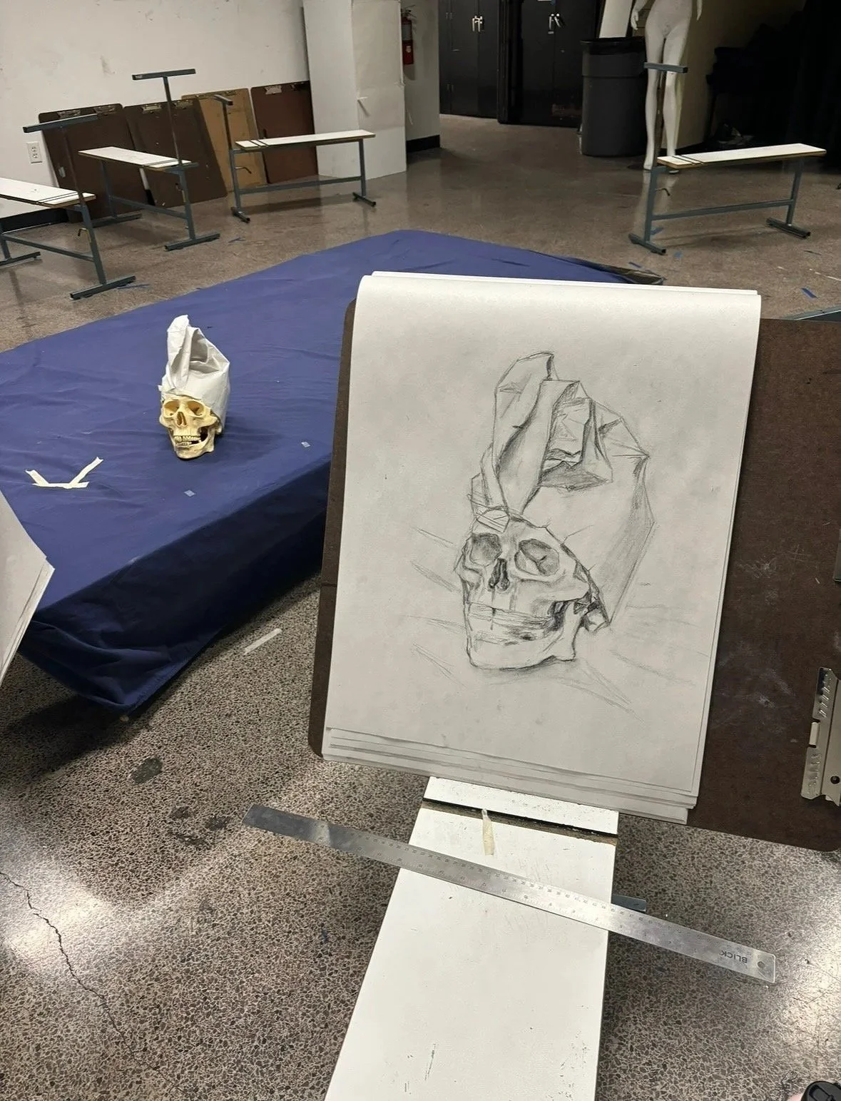 In progress study of skull, charcoal, 2024