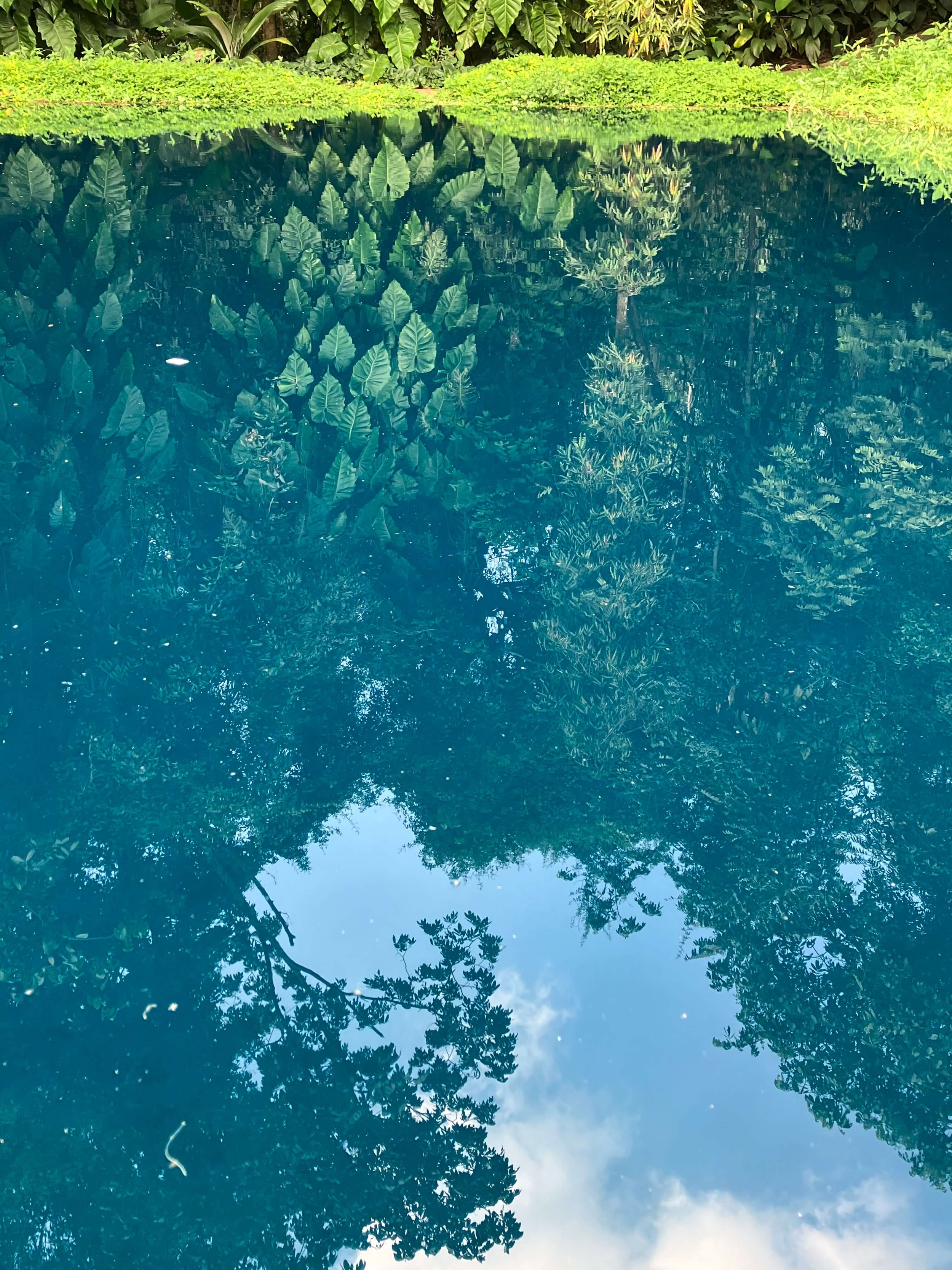 Reflected image of lush green trees and foliage in a calm blue body of water, with a partly cloudy sky visible above.