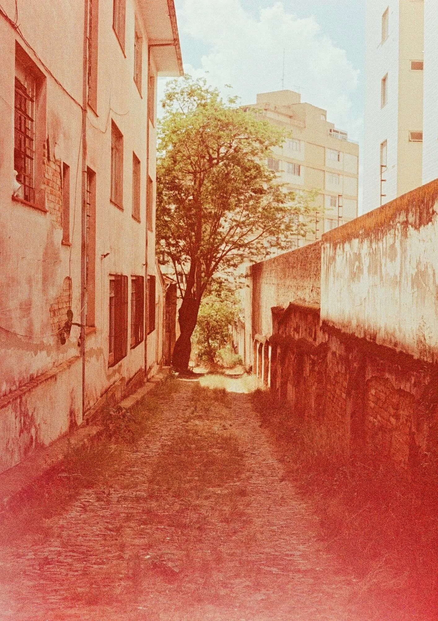 A narrow cobblestone alleyway between old buildings, with some trees in the background, under a cloudy sky.