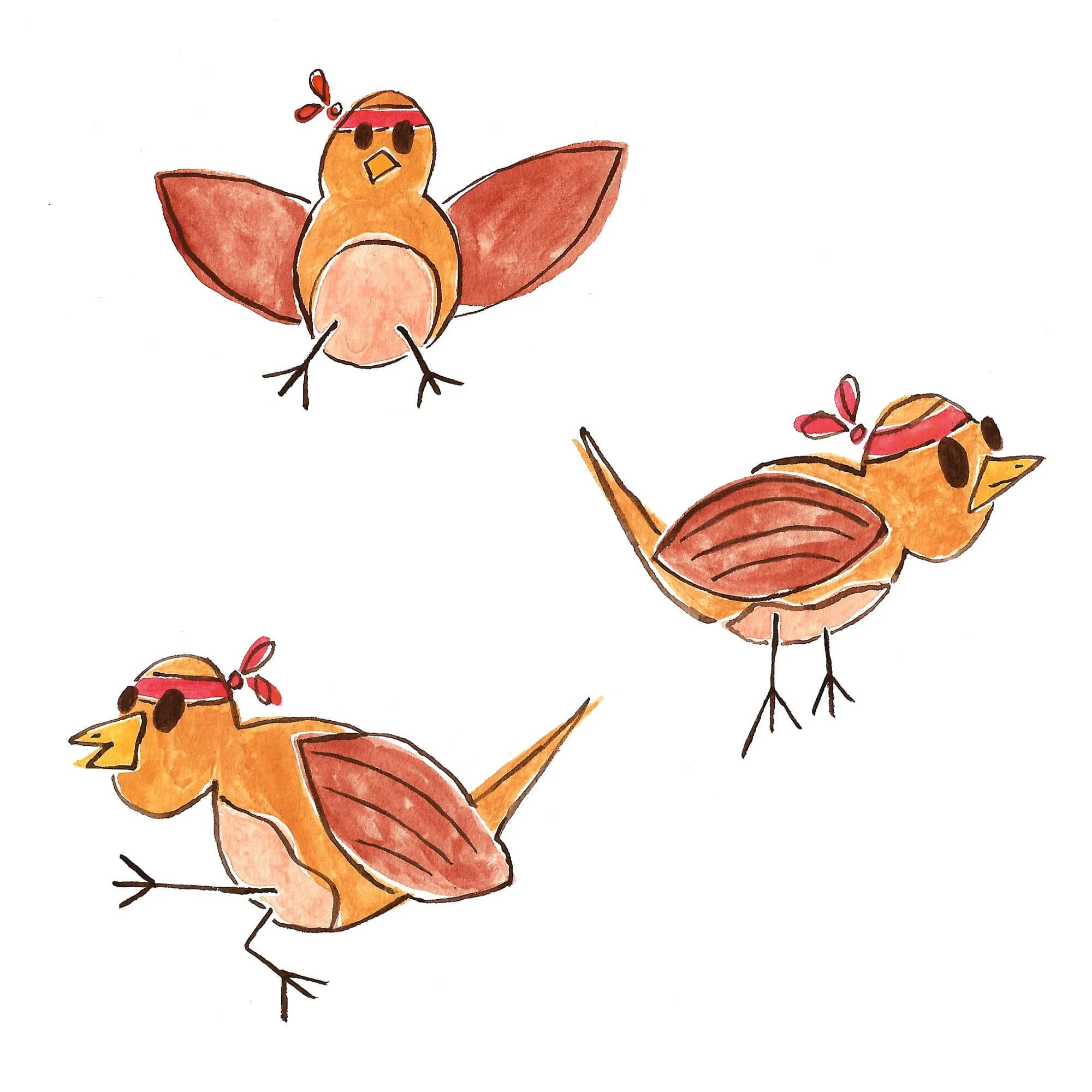 Watercolor illustration of a bird with orange body, pinkish-white belly, red wings, black legs, and a red band around its head, standing on a branch. There are other similar birds and branches in the background.