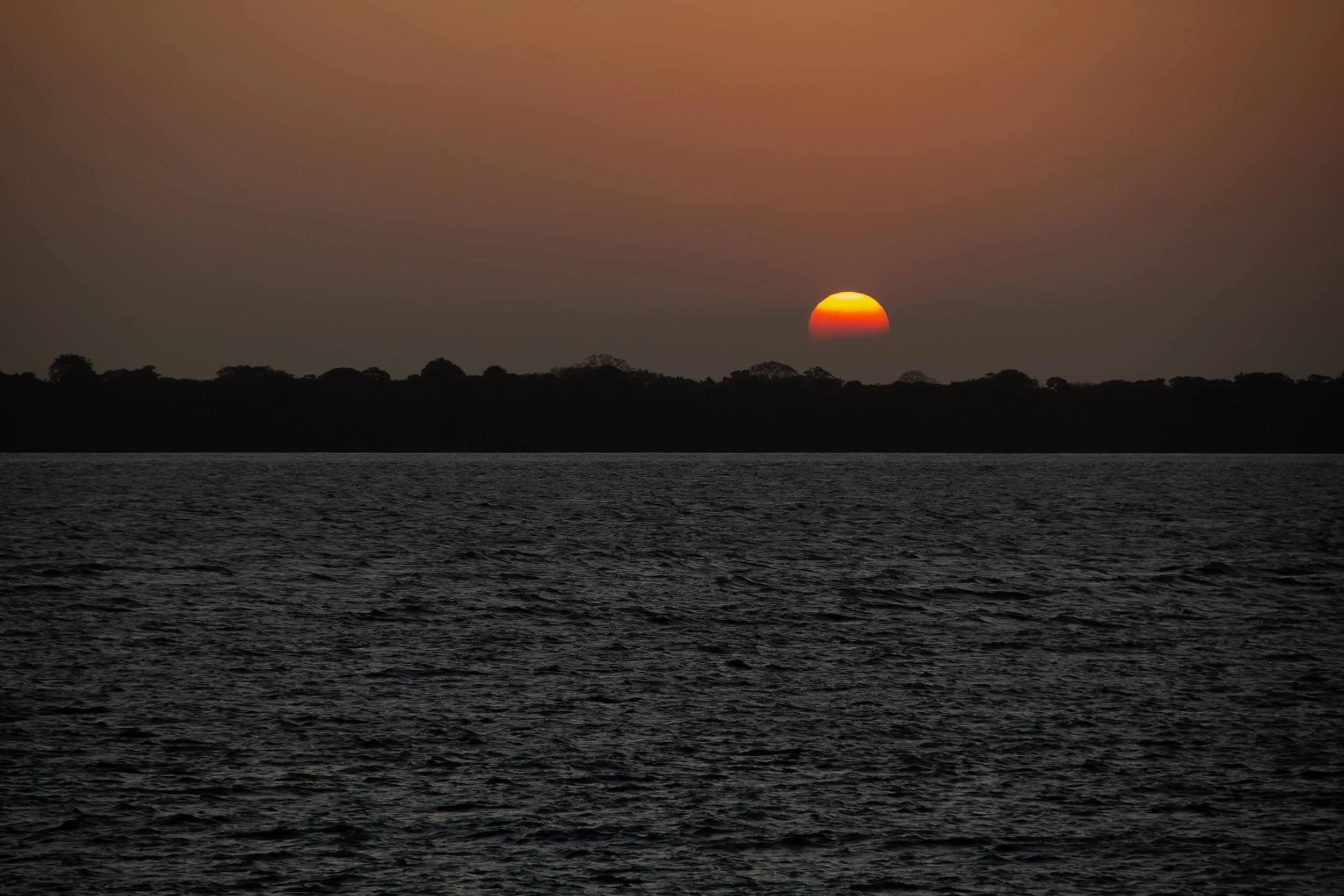 Sun setting over a body of water with a silhouette of trees on the horizon.