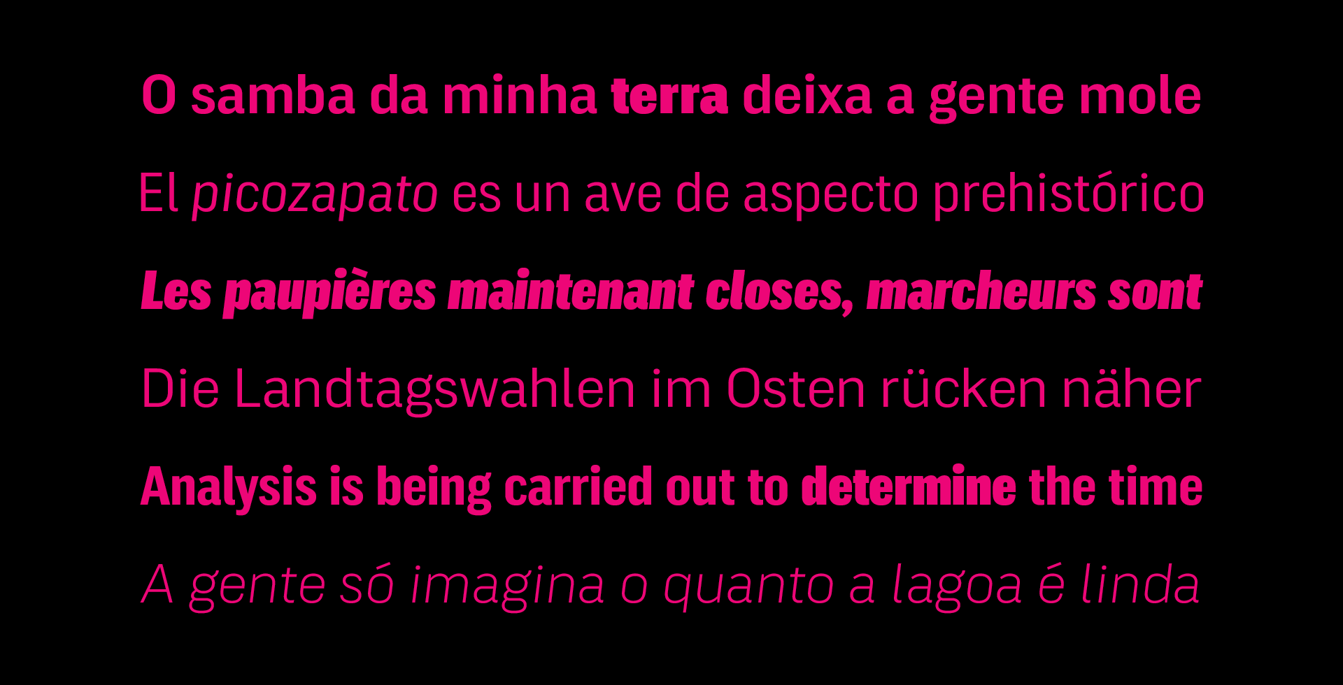 240923.DorivalUI.Specimens14.png