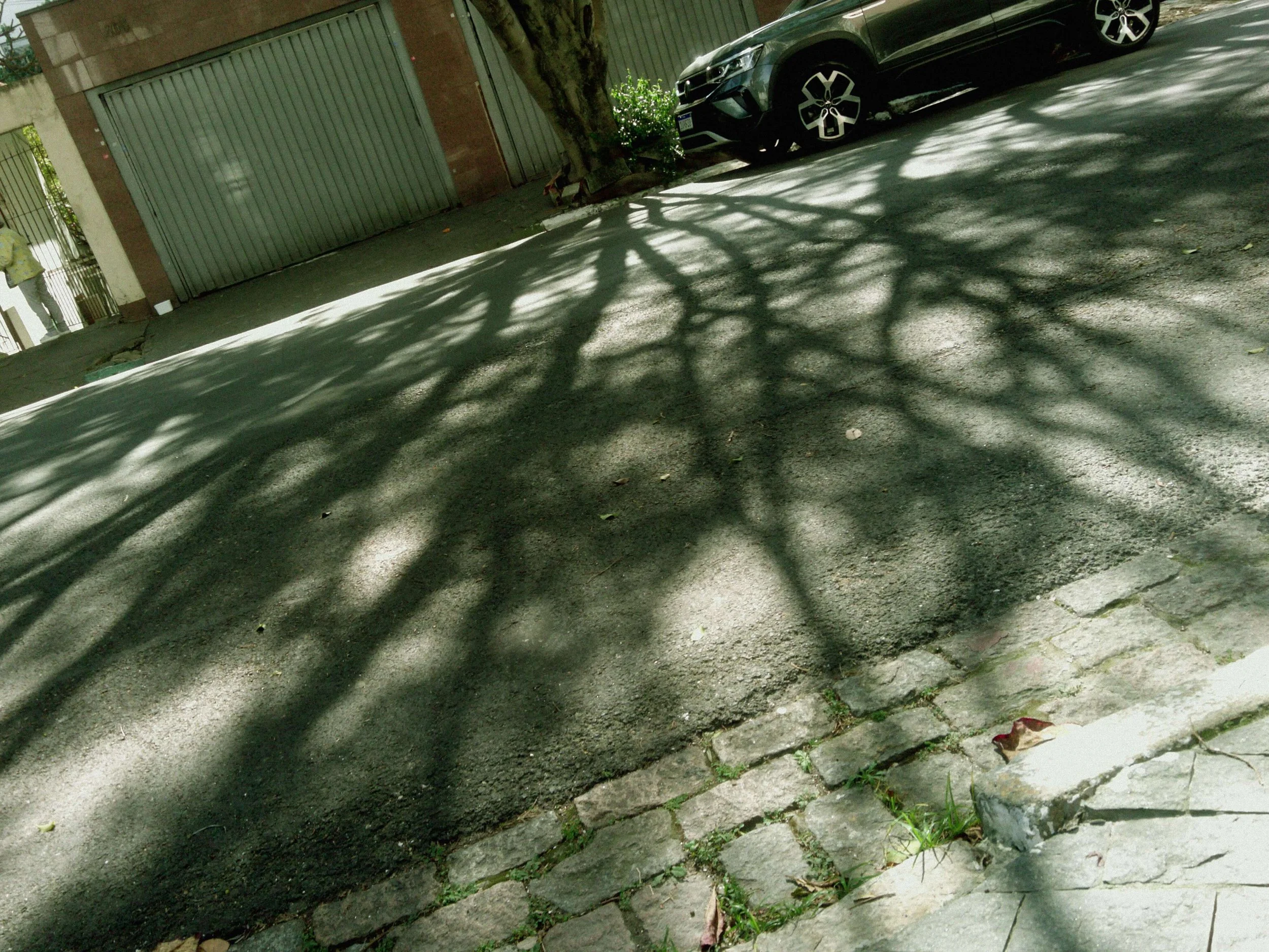 F7000004.JPG